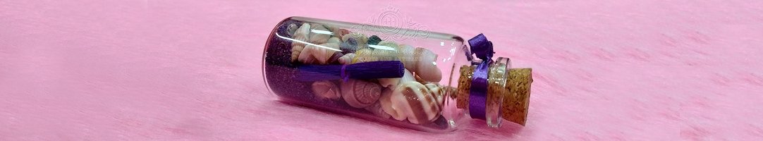 Seashell Crafts
