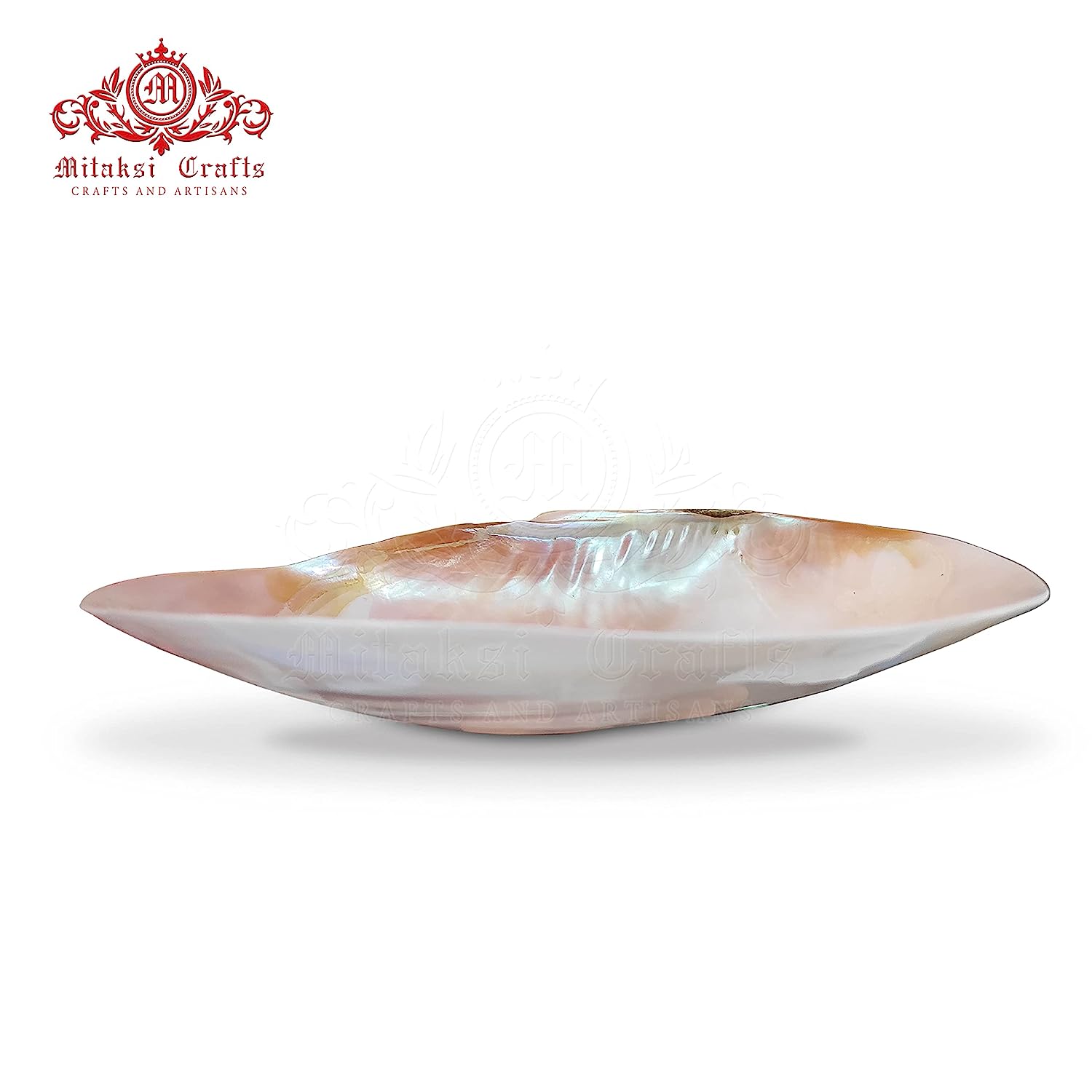 Big Clam Shell / Platter size 23-26 cm
