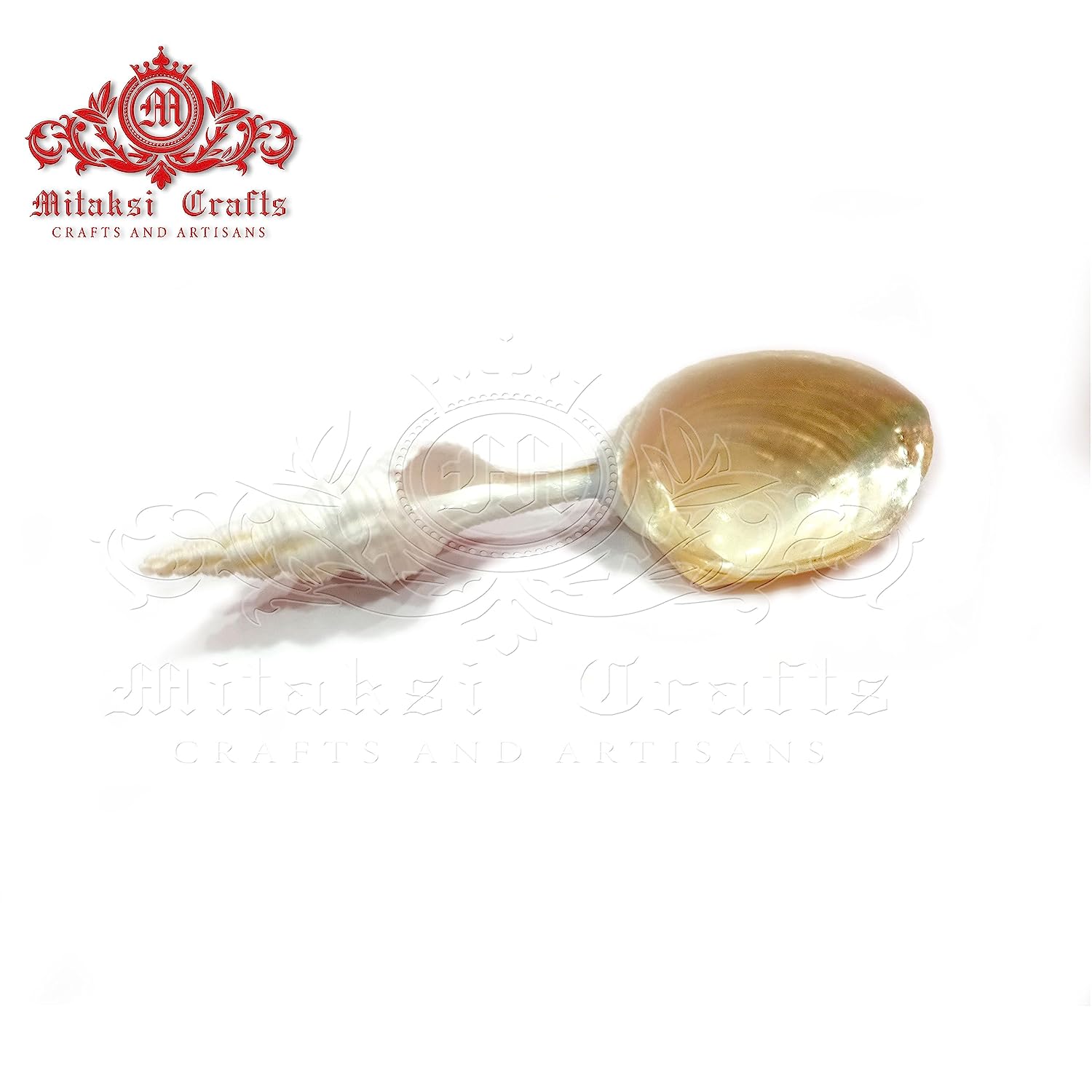 Big Clam Shell / Platter size 23-26 cm