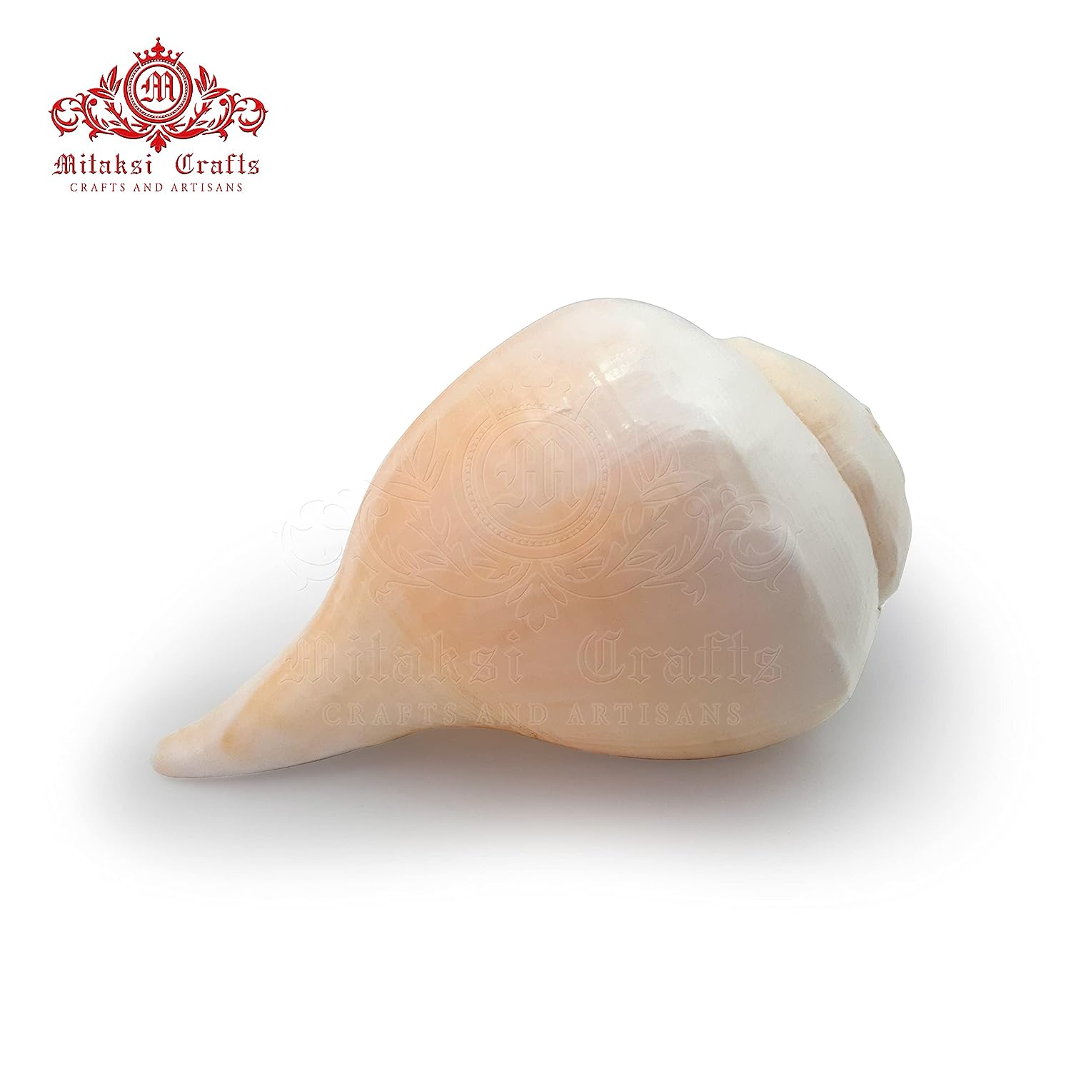 Blowing Sankh Size - 13 cm Bhajnewala