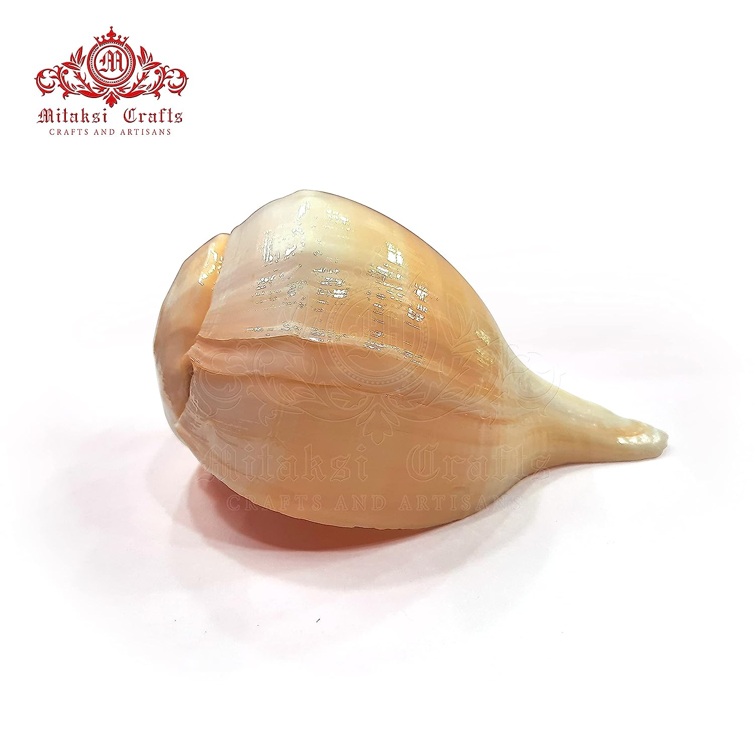 Blowing Sankh Size - 13 cm Bhajnewala