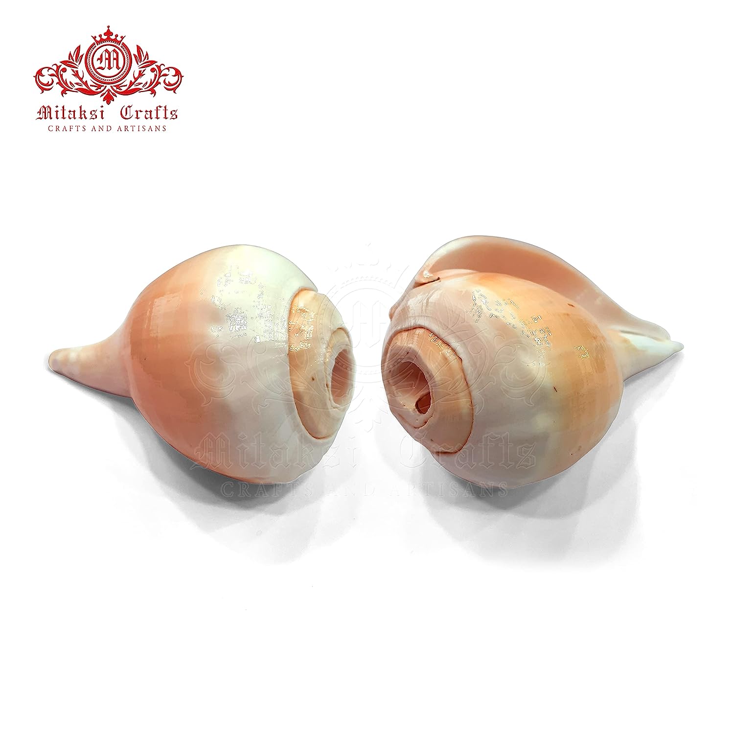 Blowing Sankh Size - 13 cm Bhajnewala