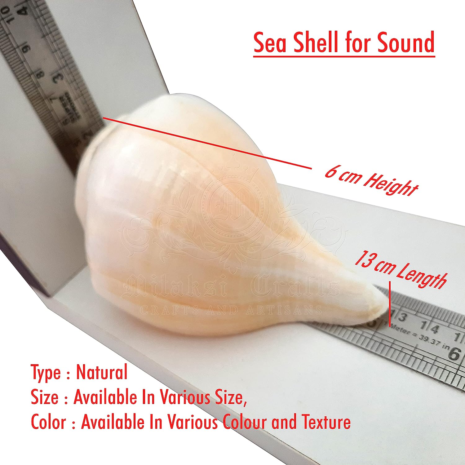 Blowing Sankh Size - 13 cm Bhajnewala