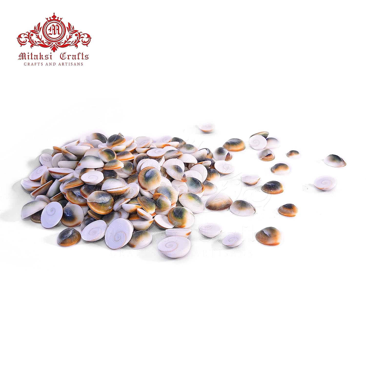 Gomathi Chakra - Lakshmi Gomati Chakra - Pack of 25 Size - Medium (2 cm)