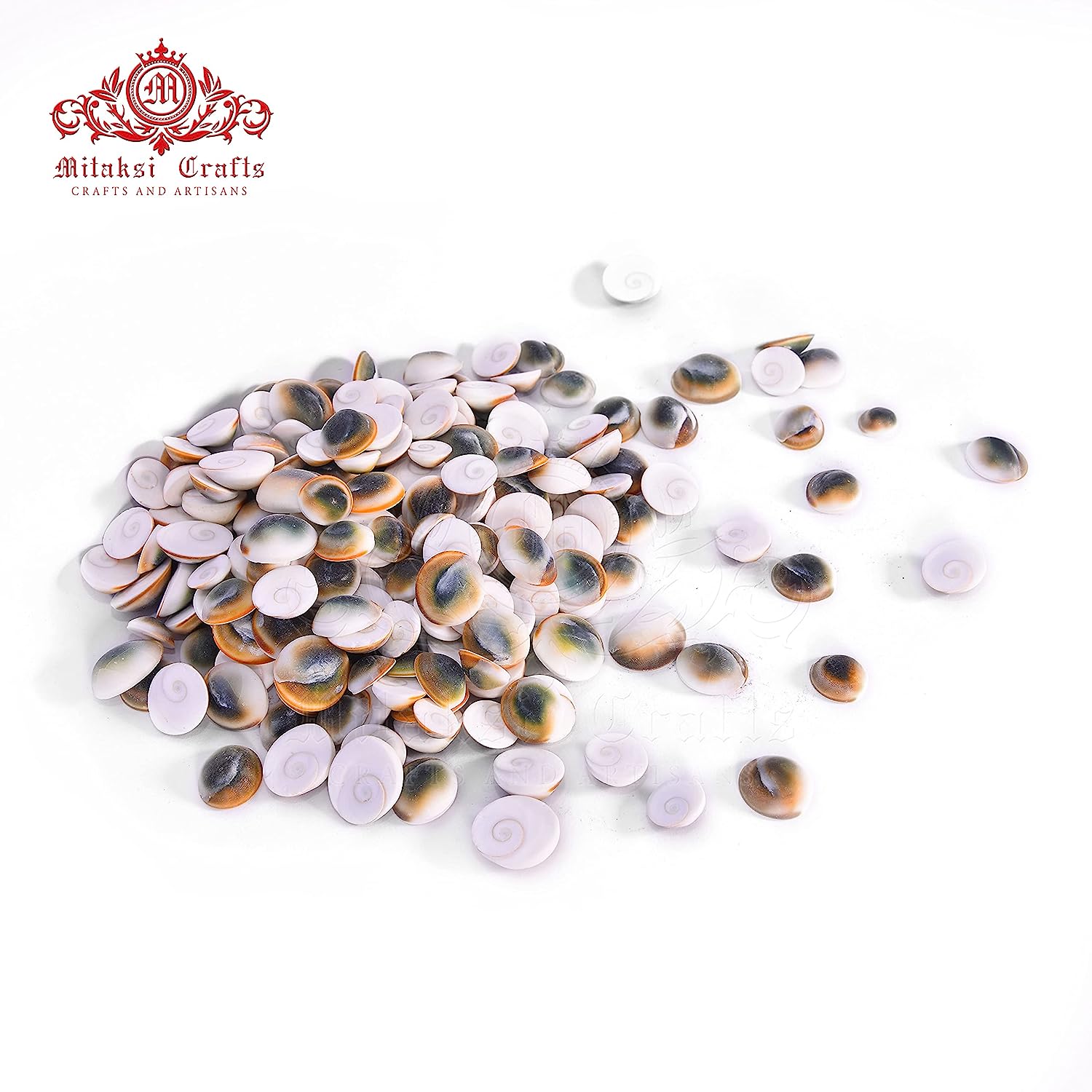 Gomathi Chakra - Lakshmi Gomati Chakra - Pack of 25 Size - Medium (2 cm)