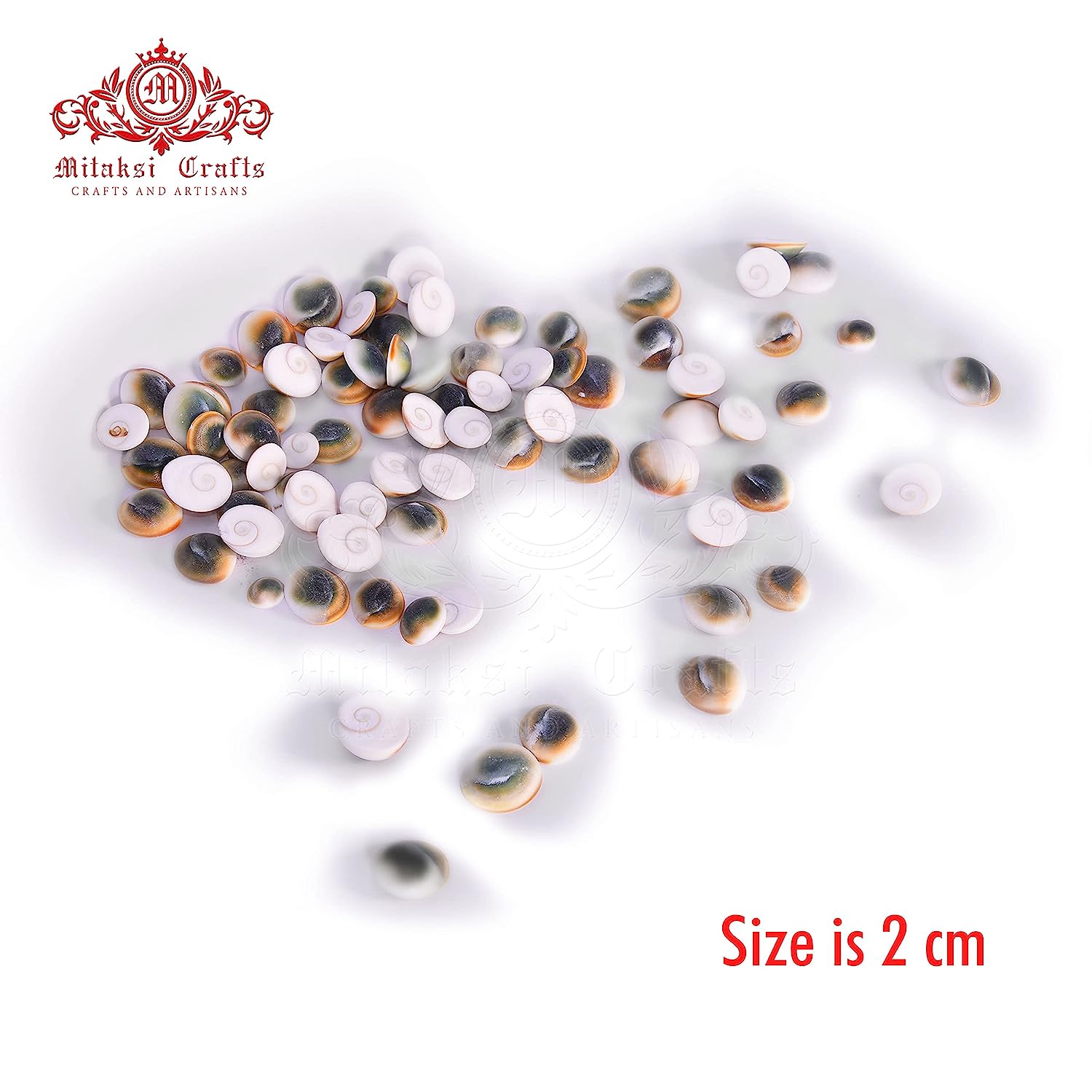 Gomathi Chakra - Lakshmi Gomati Chakra - Pack of 25 Size - Medium (2 cm)