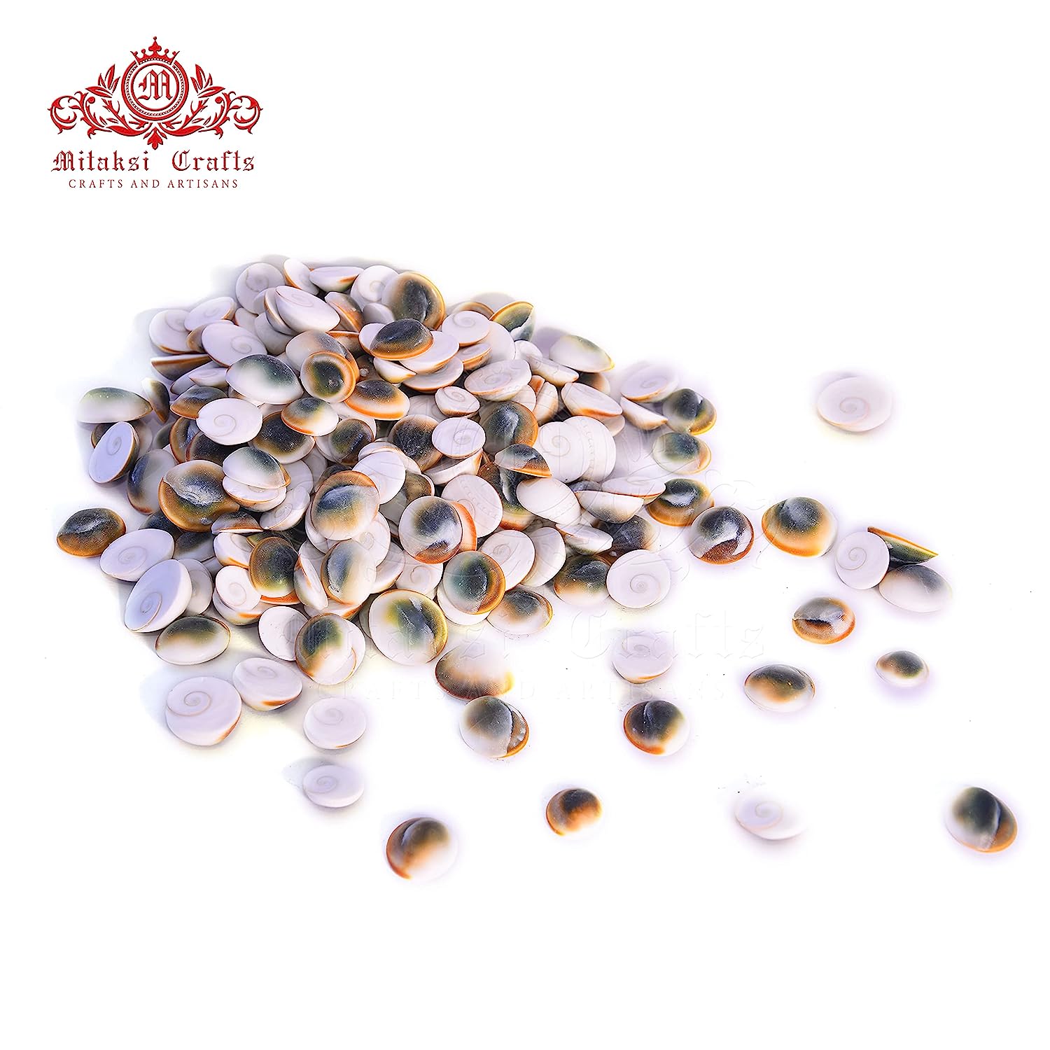 Gomathi Chakra - Lakshmi Gomati Chakra - Pack of 50 Medium (2 cm)