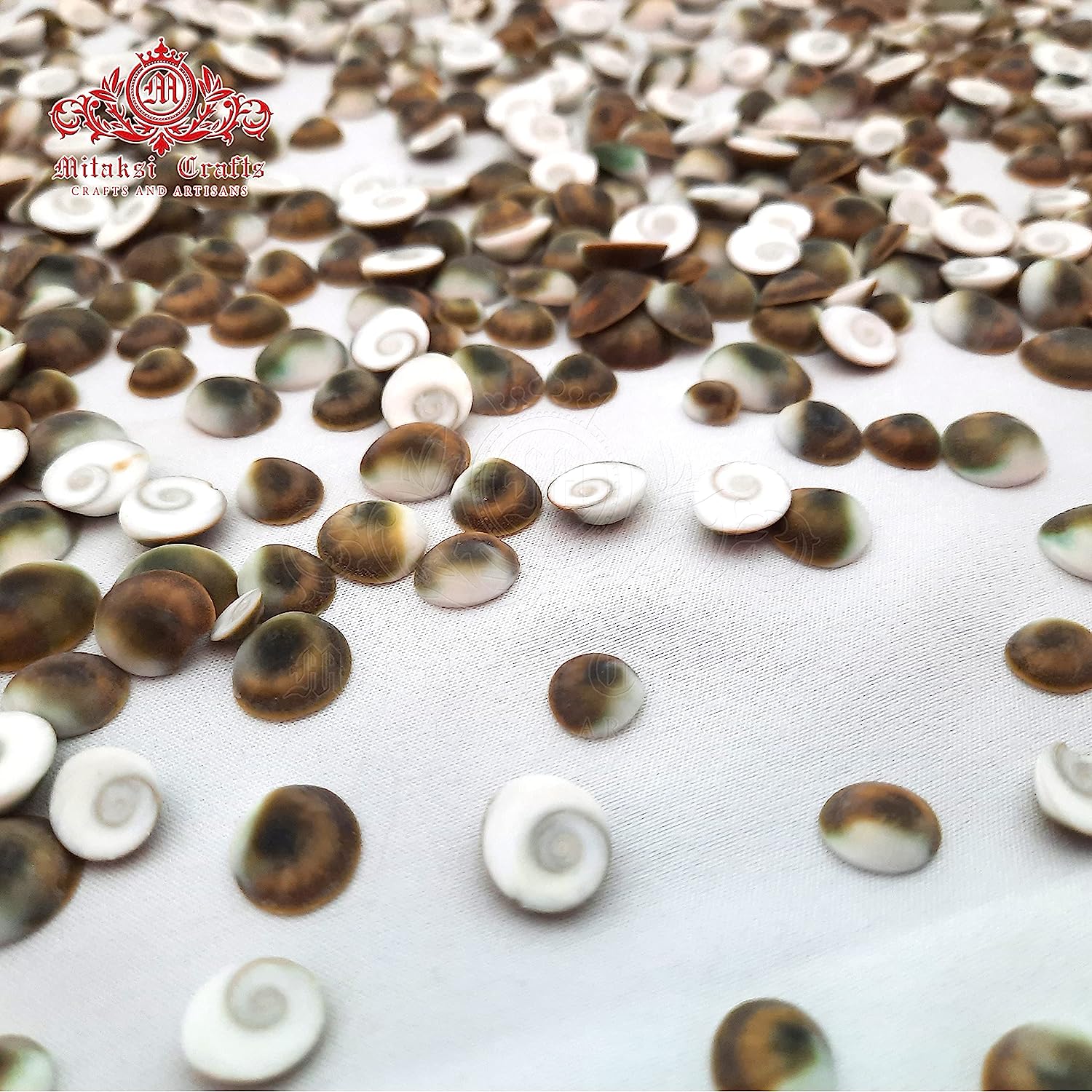 Gomathi Chakra Lakshmi Gomati Chakra- Pack of 50 Size - Small (1.5 cm)