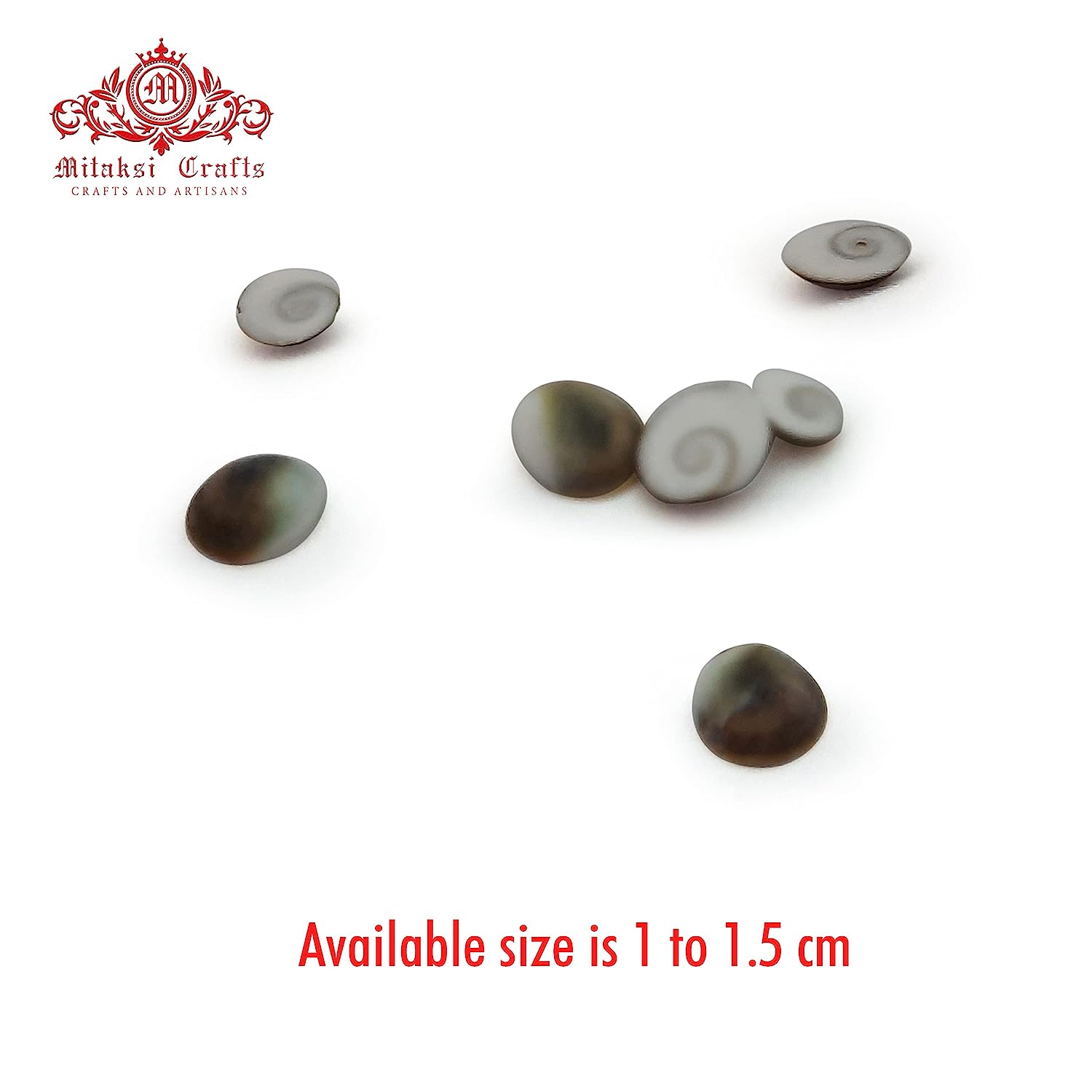 Gomathi Chakra Lakshmi Gomati Chakra- Pack of 50 Size - Small (1.5 cm)