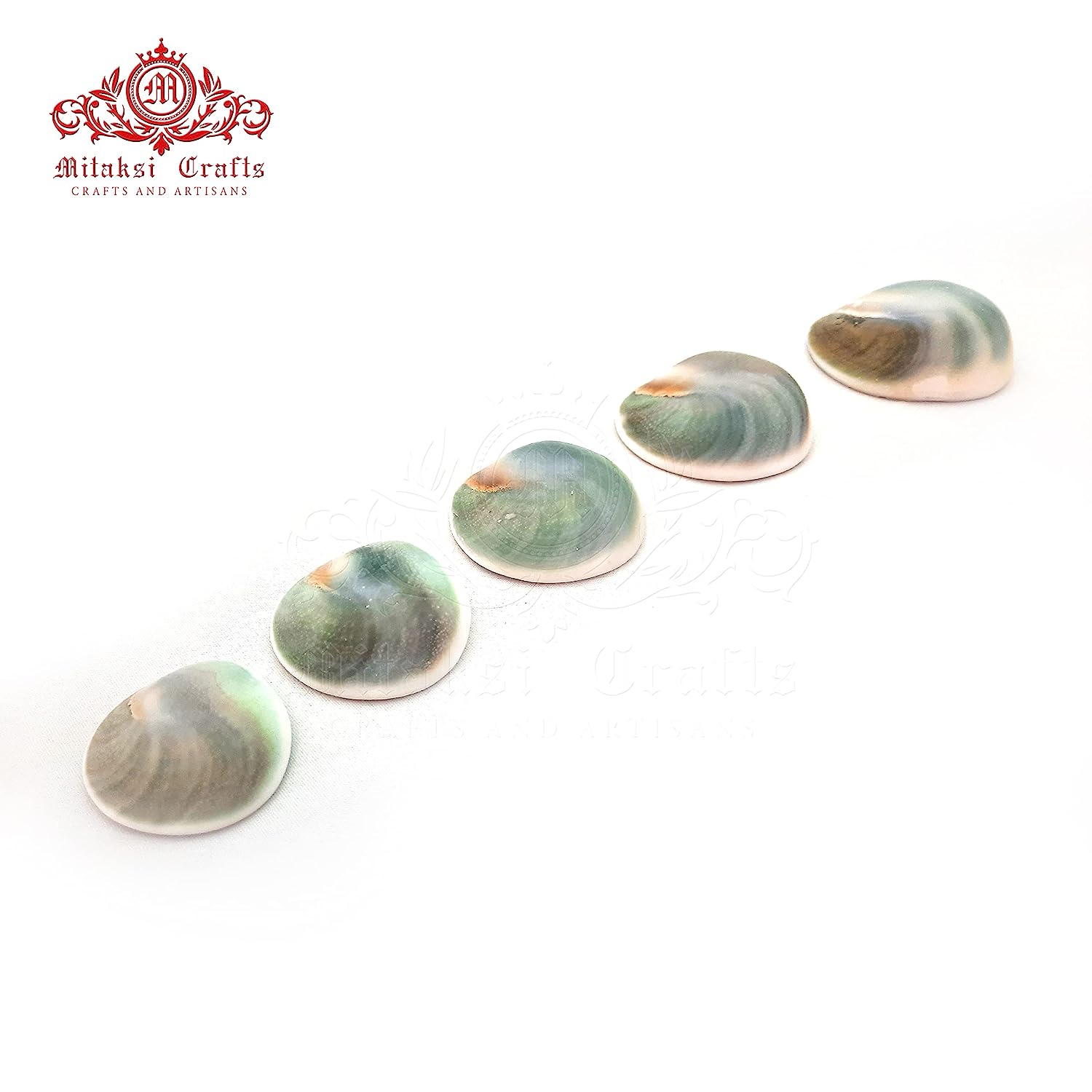 Lakshmi Gomati Chakra - Green Pack of 5 Big