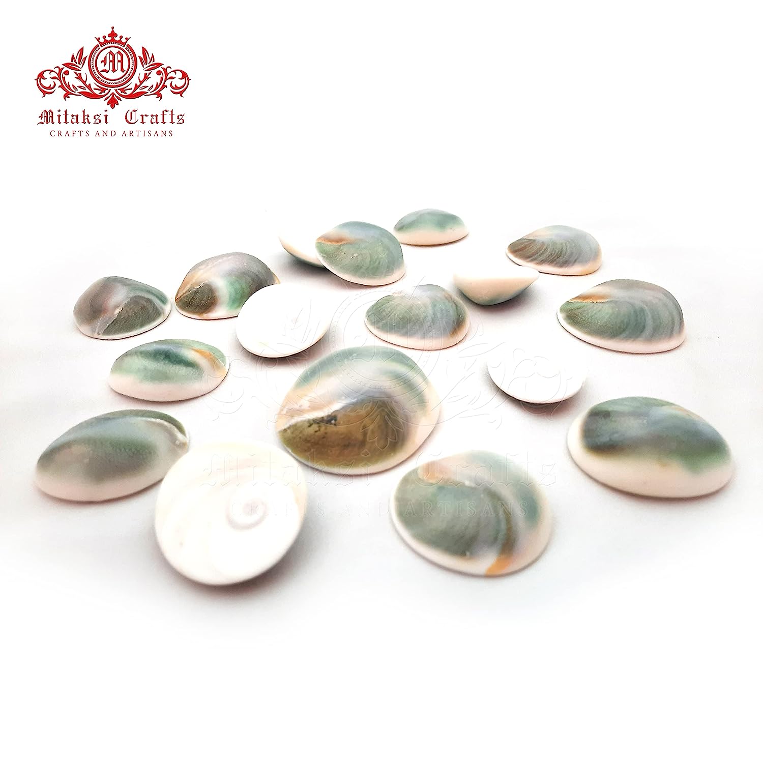 Lakshmi Gomati Chakra - Green Pack of 5 Big