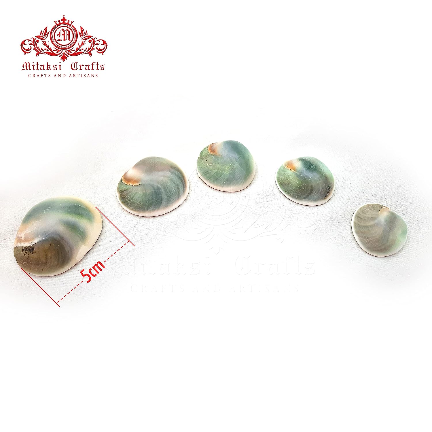 Lakshmi Gomati Chakra - Green Pack of 5 Big