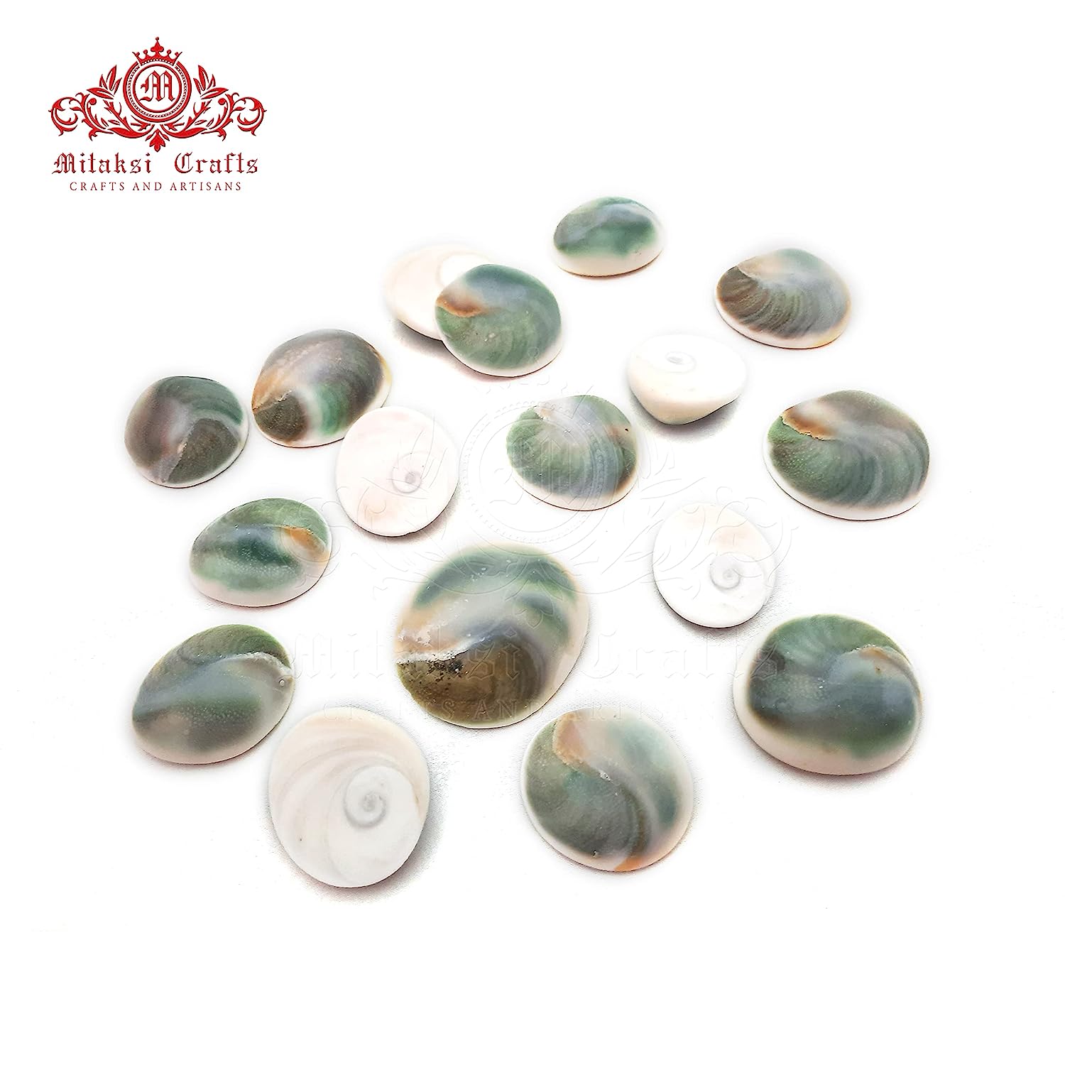 Lakshmi Gomati Chakra - Green Pack of 5 Big