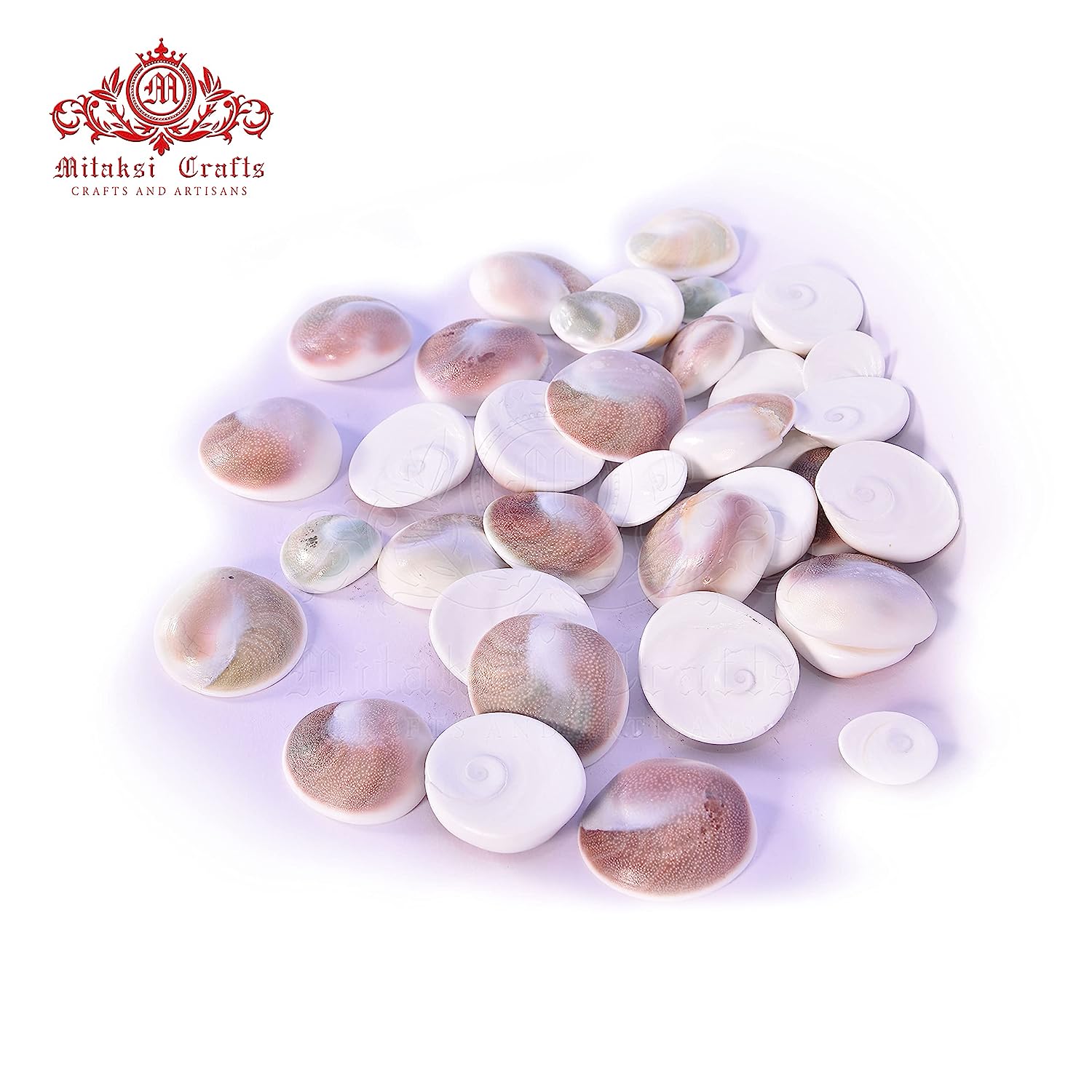 Lakshmi Gomati Chakra - White Pack of 5 Big