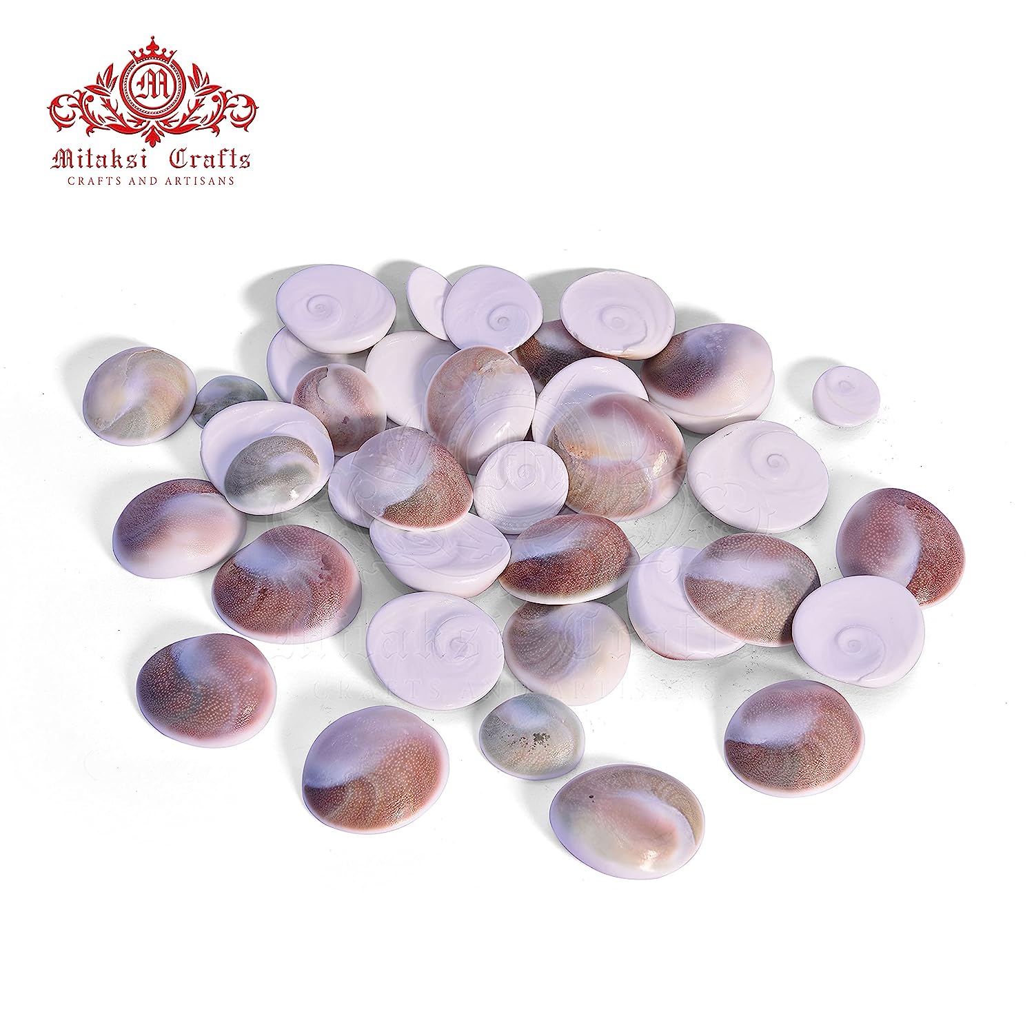 Lakshmi Gomati Chakra - White Pack of 5 Big