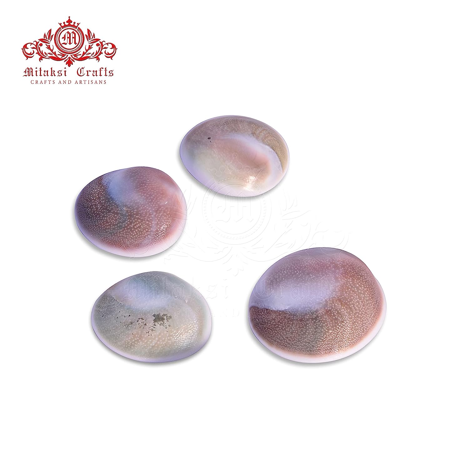 Lakshmi Gomati Chakra - White Pack of 5 Big