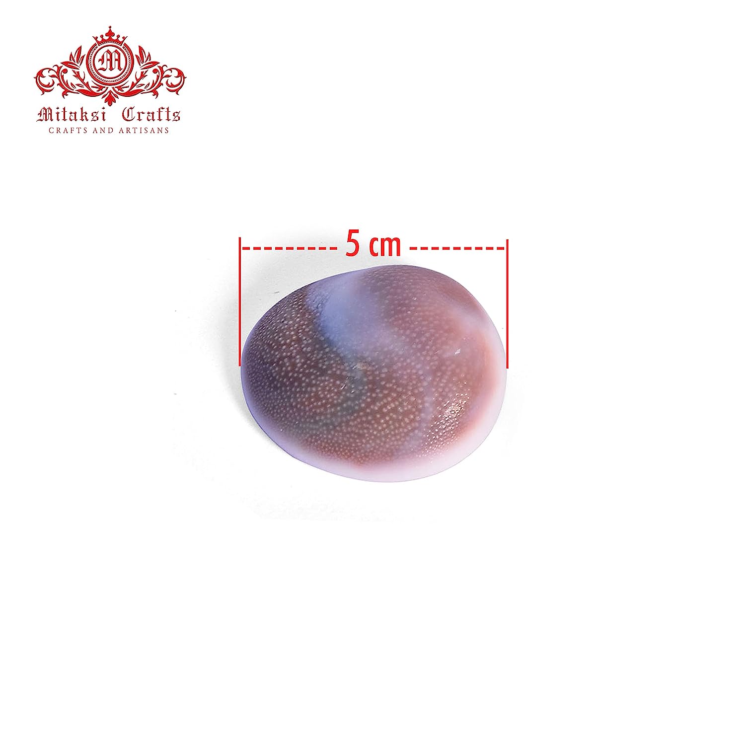 Lakshmi Gomati Chakra - White Pack of 5 Big