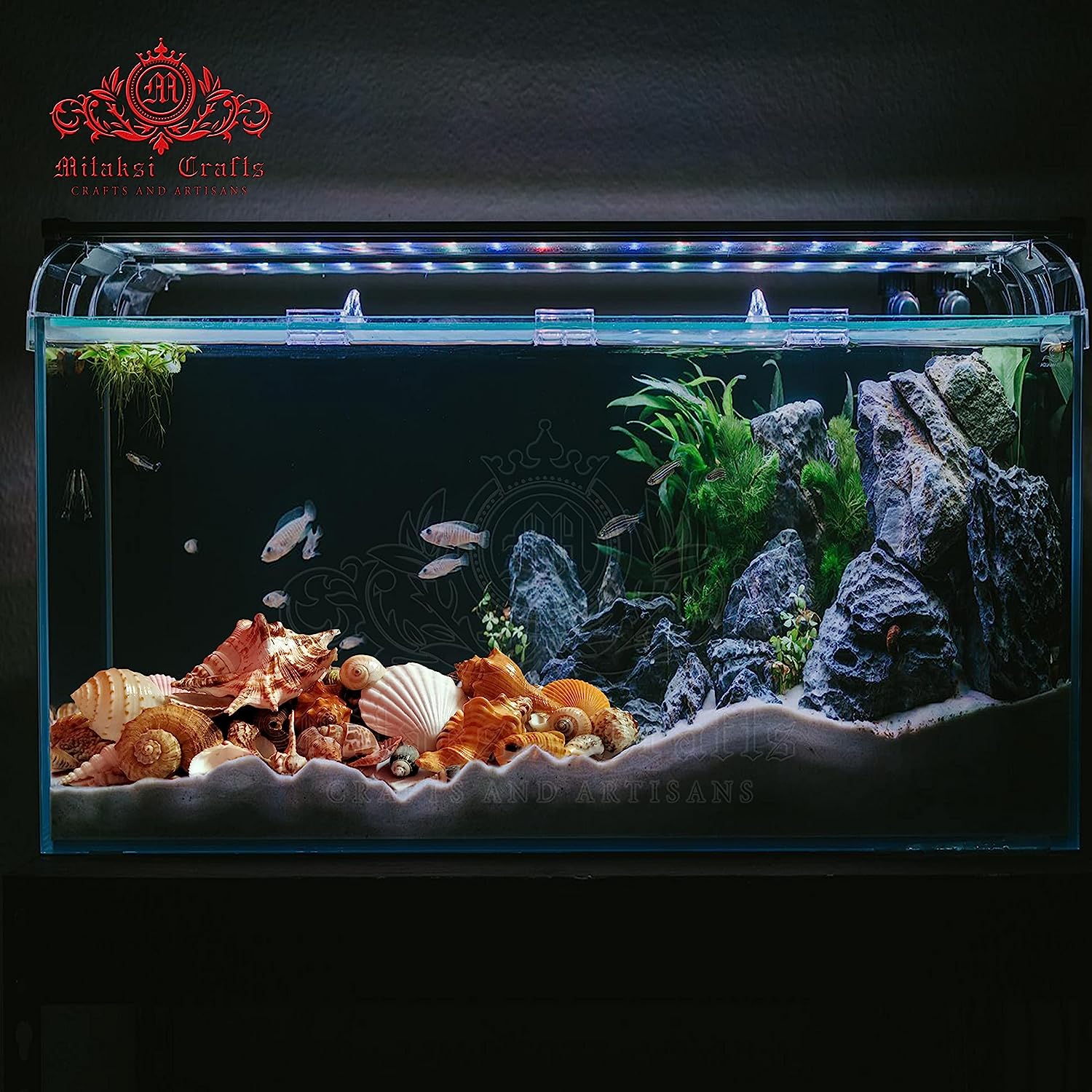 Natural Seashell Mix - Aquarium Decoration- Seashell Gift Pack- 30 Different Seashells (2 KG)