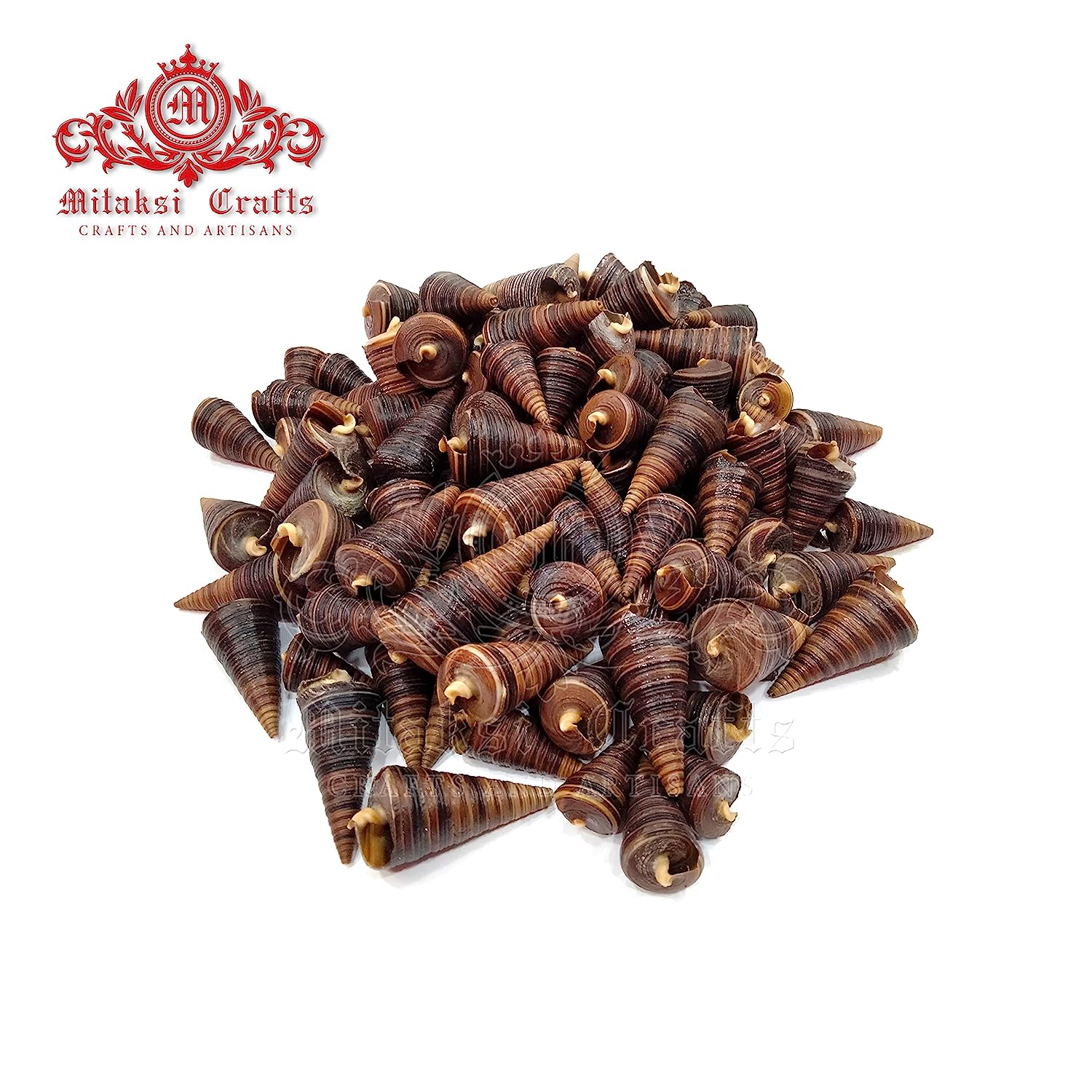Seashell - Aquarium Decors and Crafts - Karuppu Gopuram - Horm Shell - Telescopium Telescopium - Pack of 20-250g