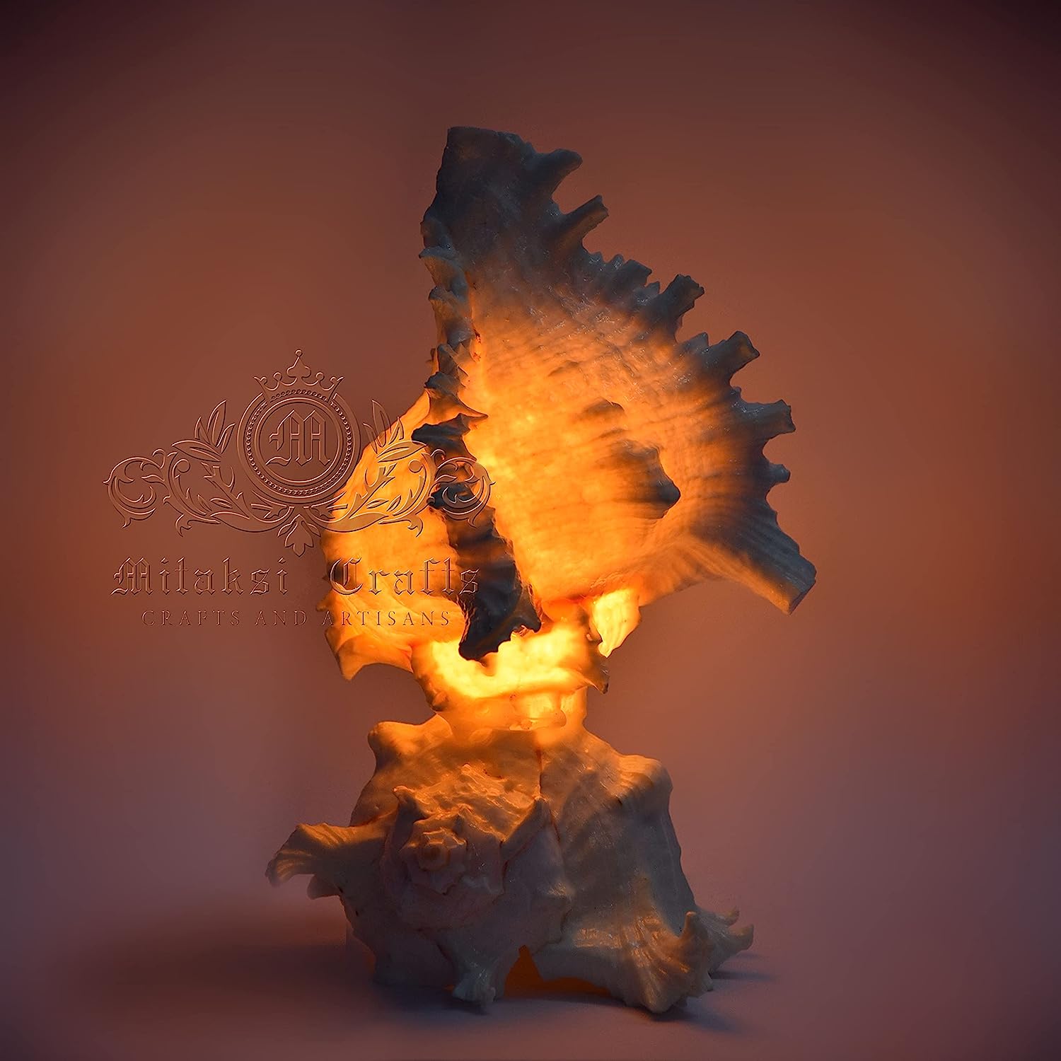 Seashell Chandramukhi Shank Lamp