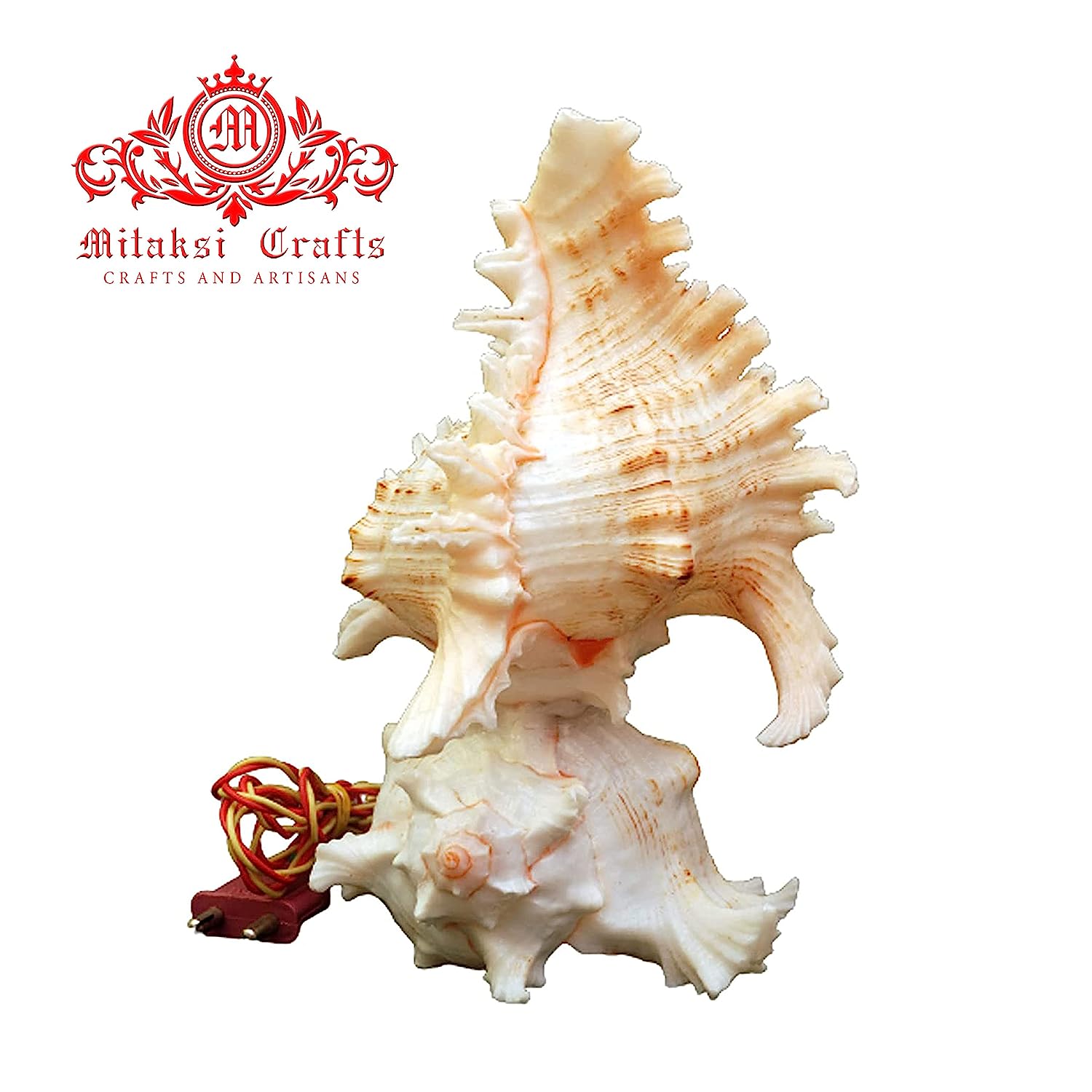 Seashell Chandramukhi Shank Lamp