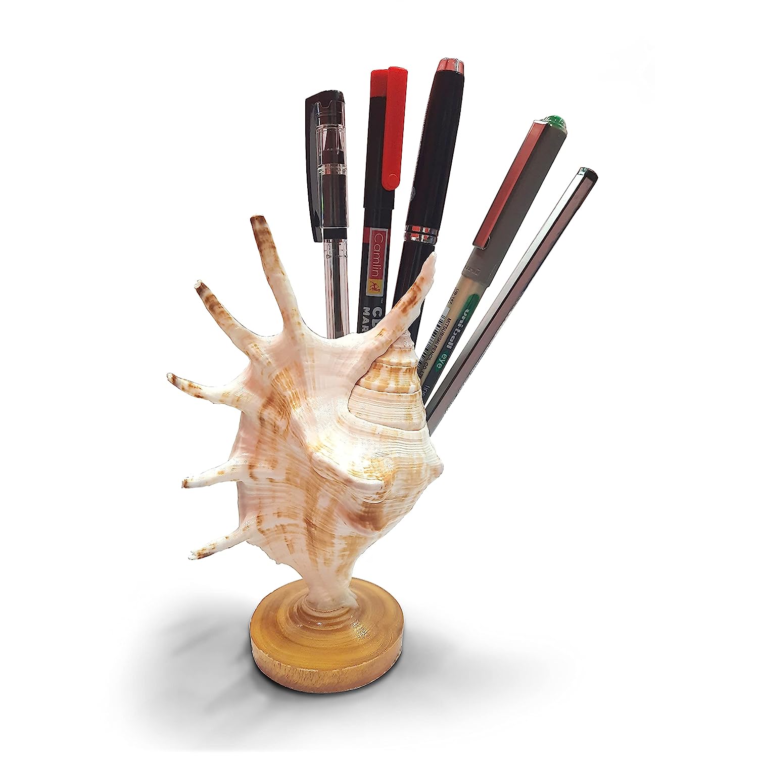 Seashell Panchmukhi Shankh - Turbinella Pyrum Shell Pen Stand Pack of 2