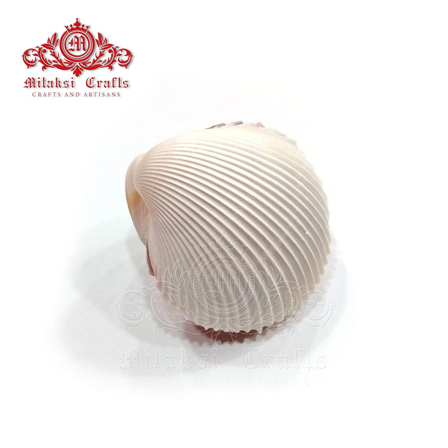 Seashell Arts and Crafts - Chippi - Coco Clam - Clam Shell - Pack of 20