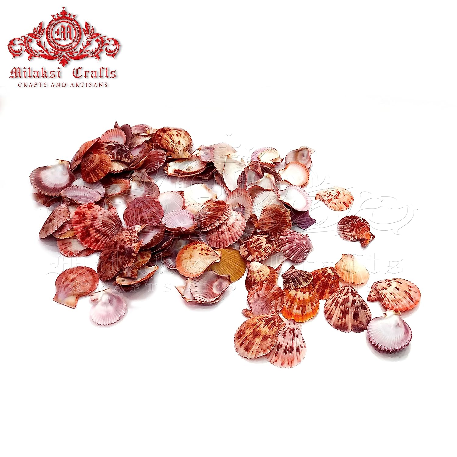 Seashells Art and Crafts - Small Scallop Shell - Naturally Colored Sippi - Pack of 30