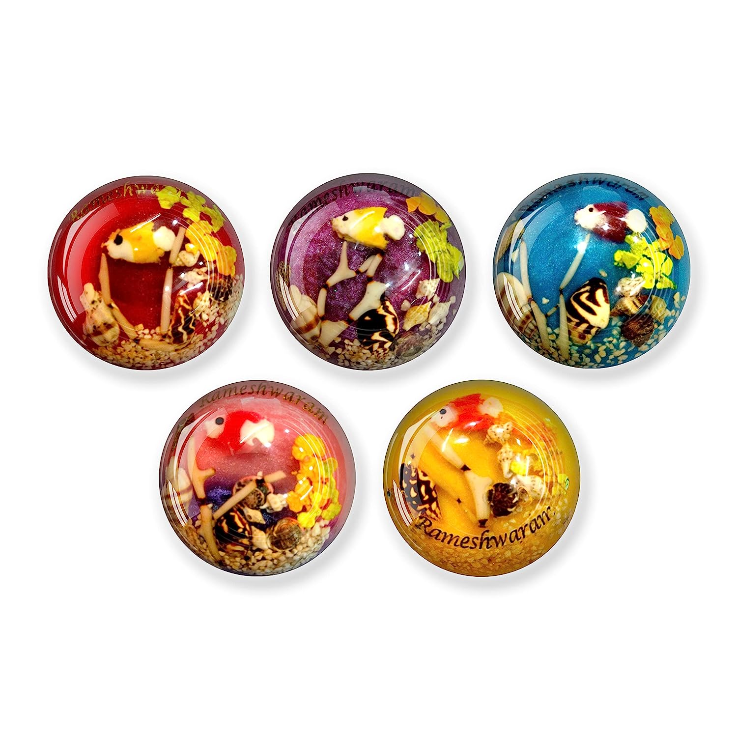 Sea Themed Fridge Magnet - Small Sea Shell Combined with Epoxy Resin Pack of 5