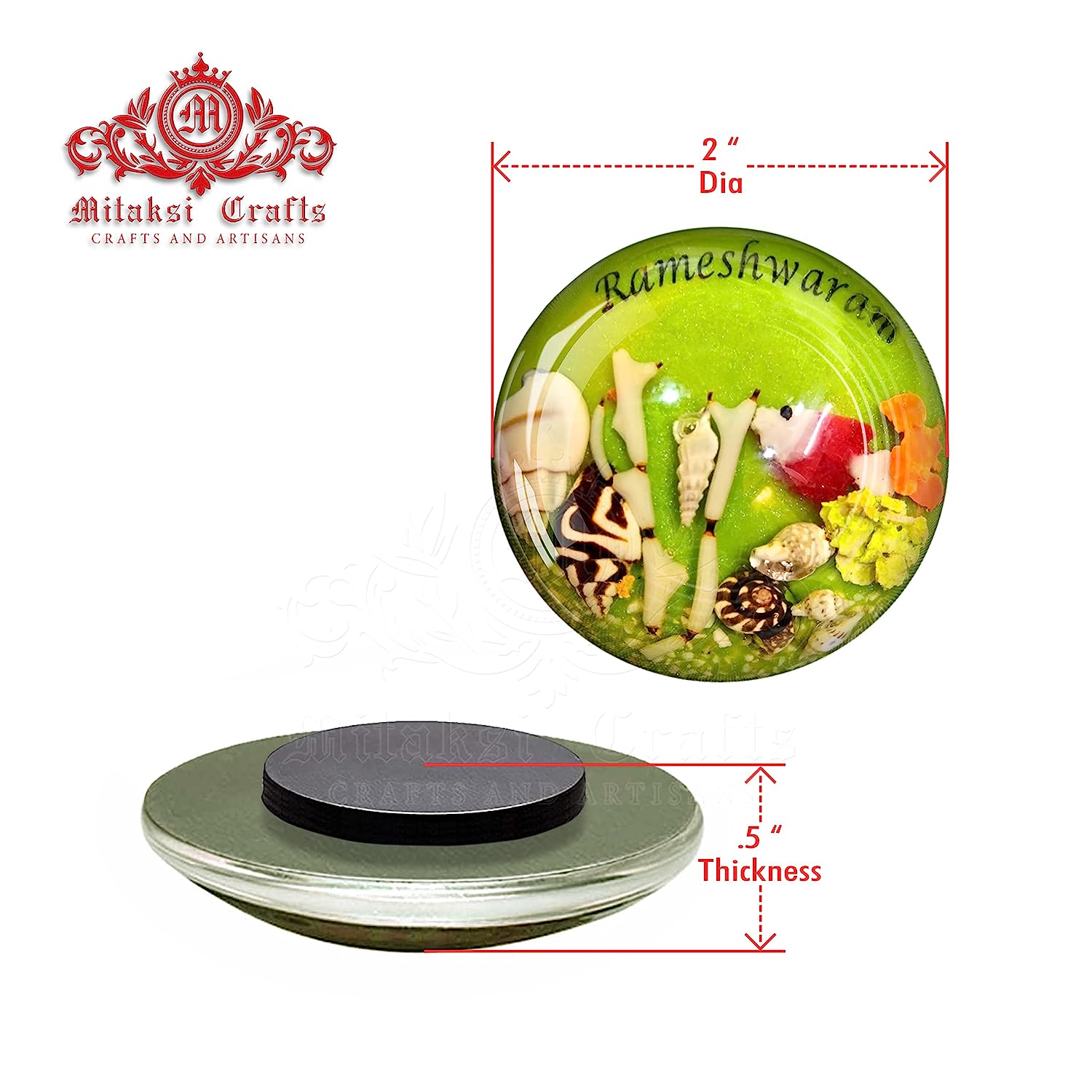 Sea Themed Fridge Magnet - Small Sea Shell Combined with Epoxy Resin Pack of 5