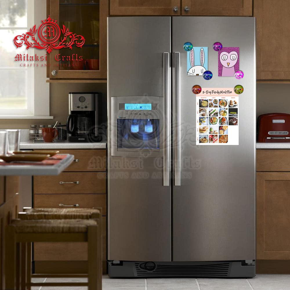 Sea Themed Fridge Magnet - Small Sea Shell Combined with Epoxy Resin Pack of 5