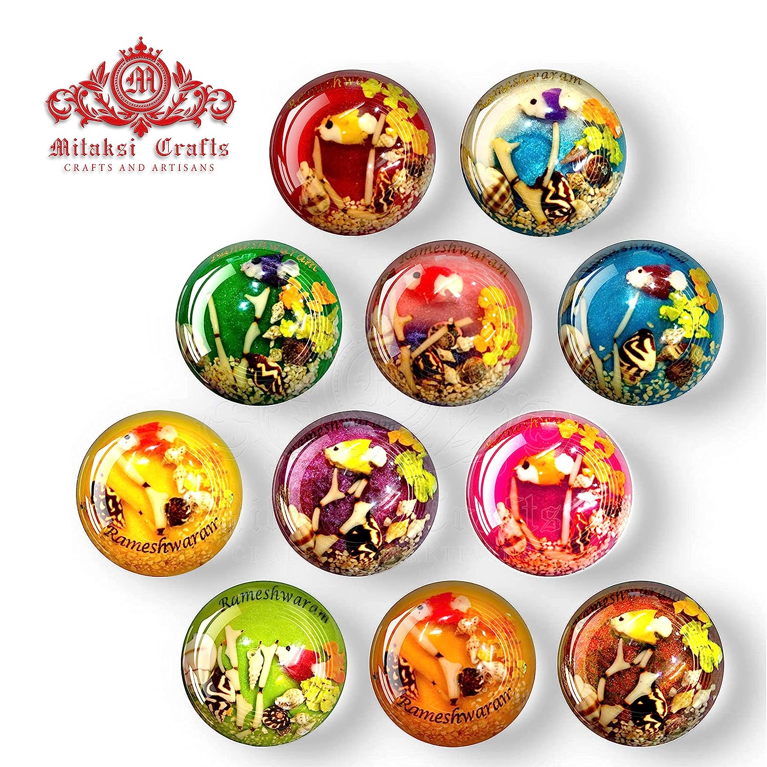 Sea Themed Fridge Magnet - Small Sea Shell Combined with Epoxy Resin Pack of 5