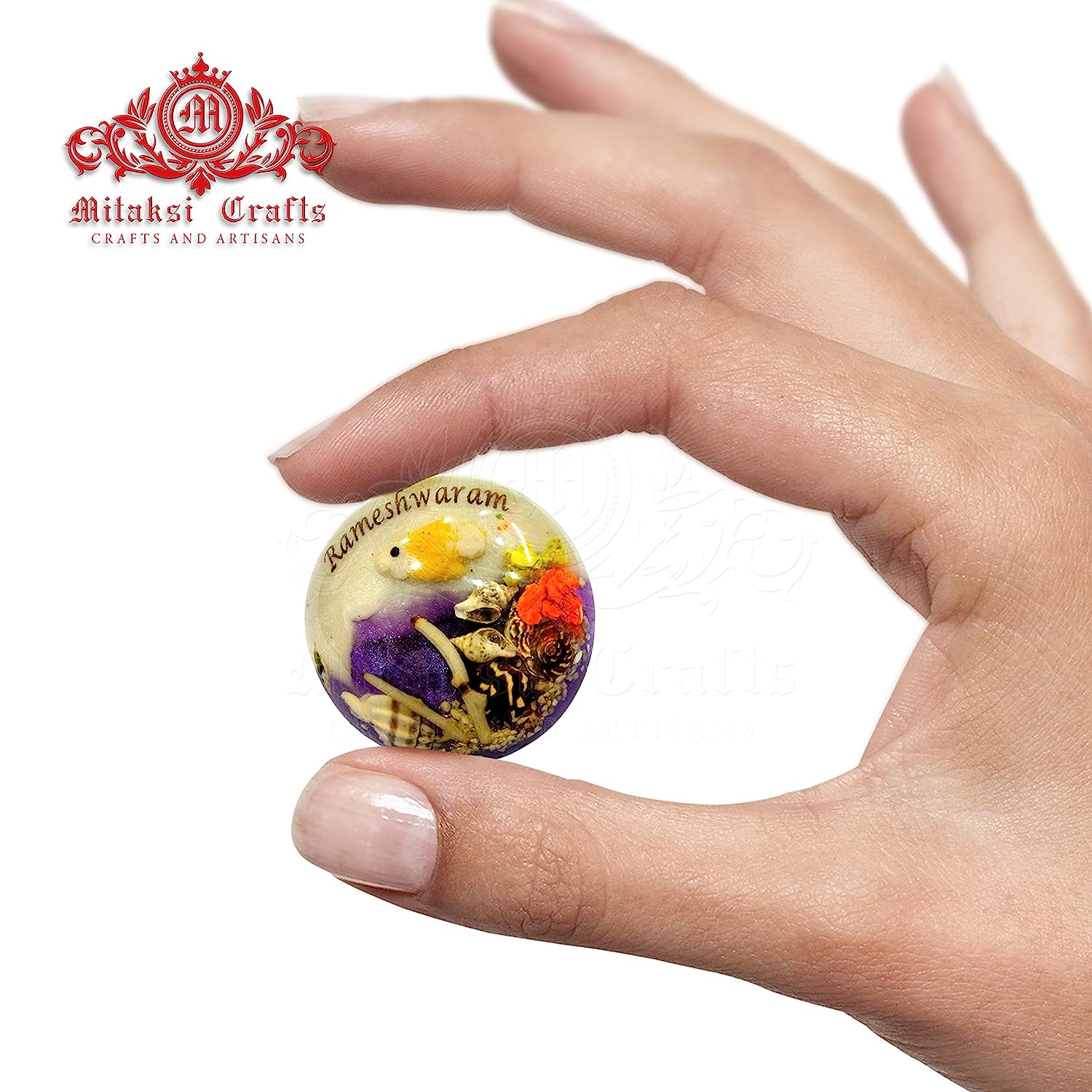 Sea Themed Fridge Magnet - Small Sea Shell Combined with Epoxy Resin Pack of 5