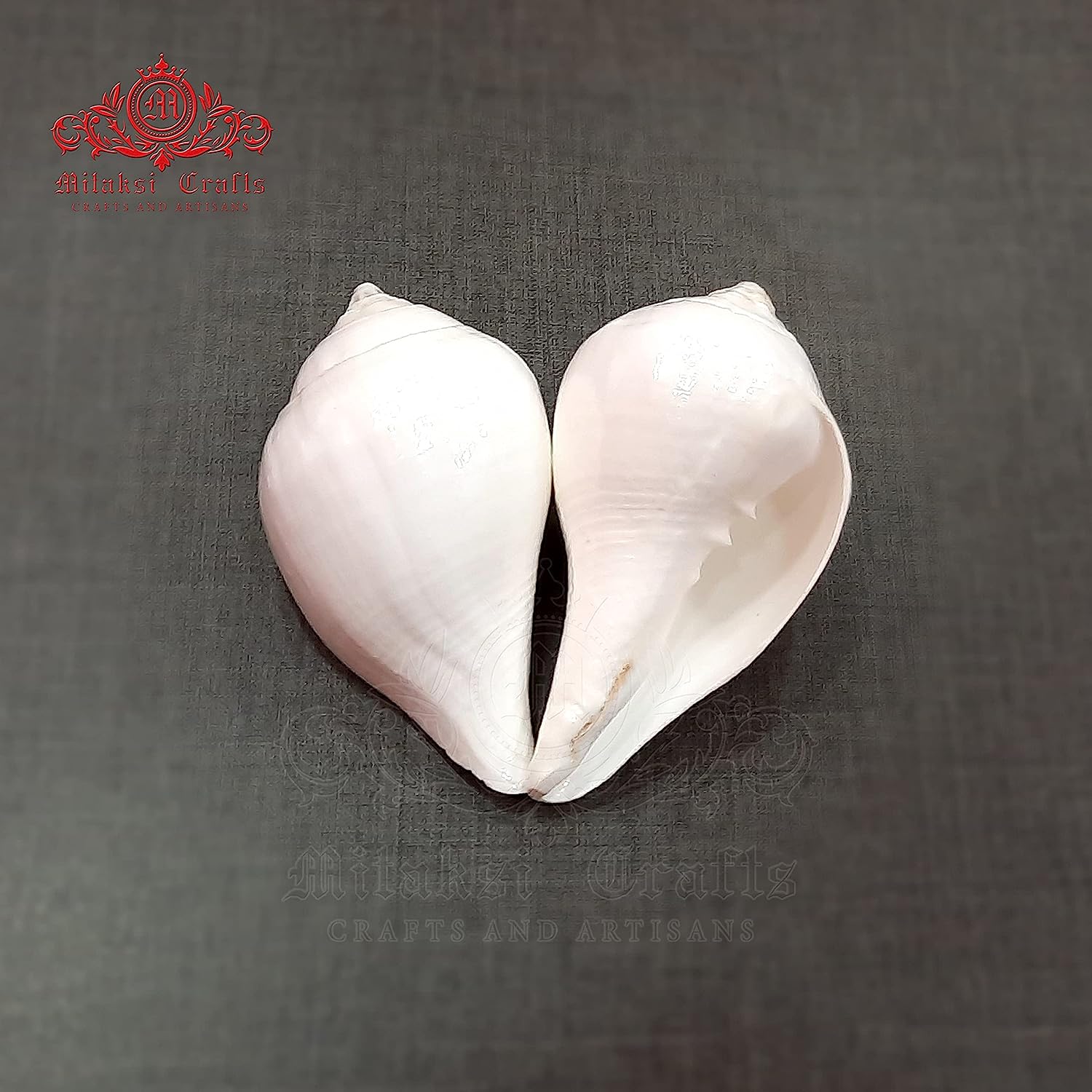 Small Vamavati Shank for Abisheka Pack of 3