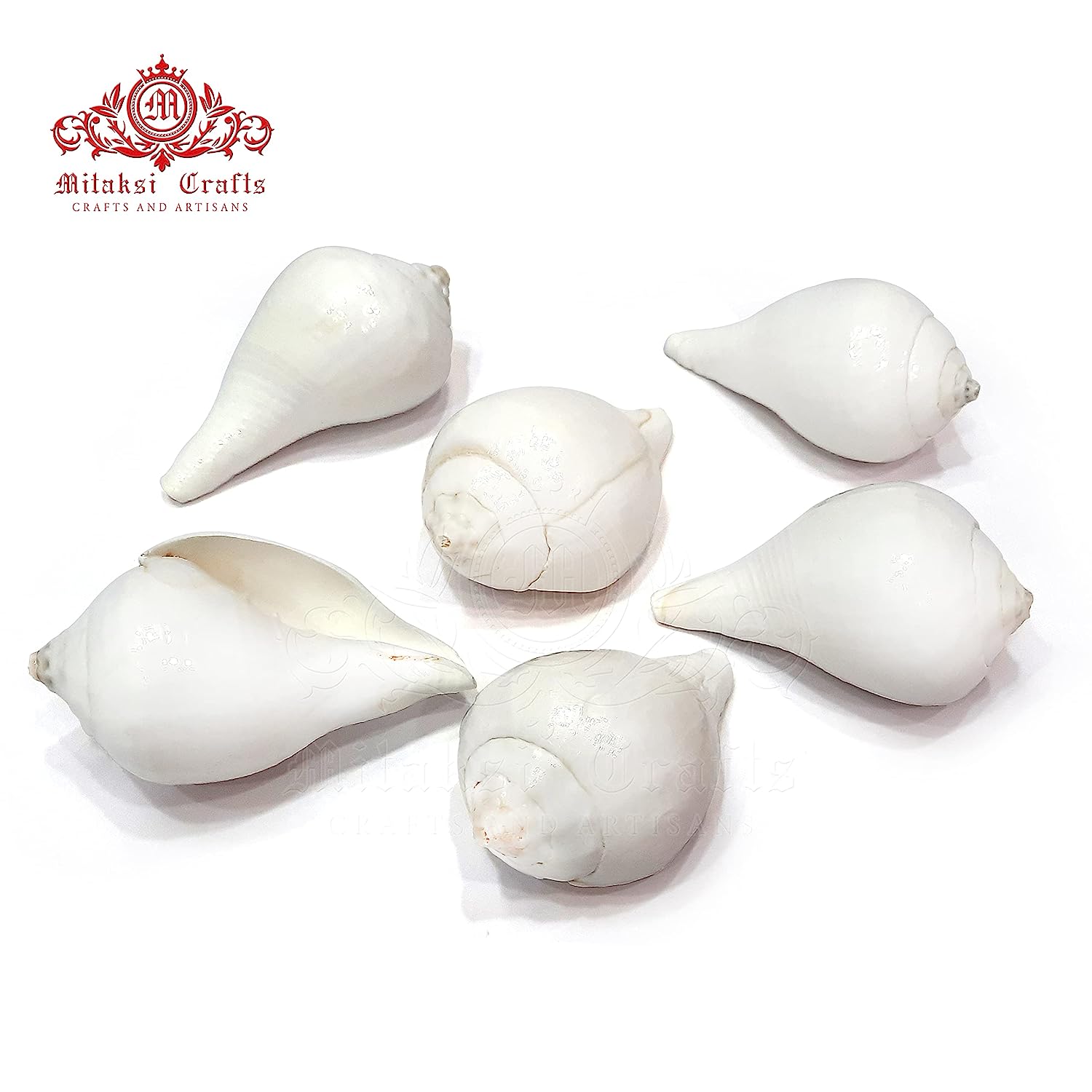 Small Vamavati Shank for Abisheka Pack of 3