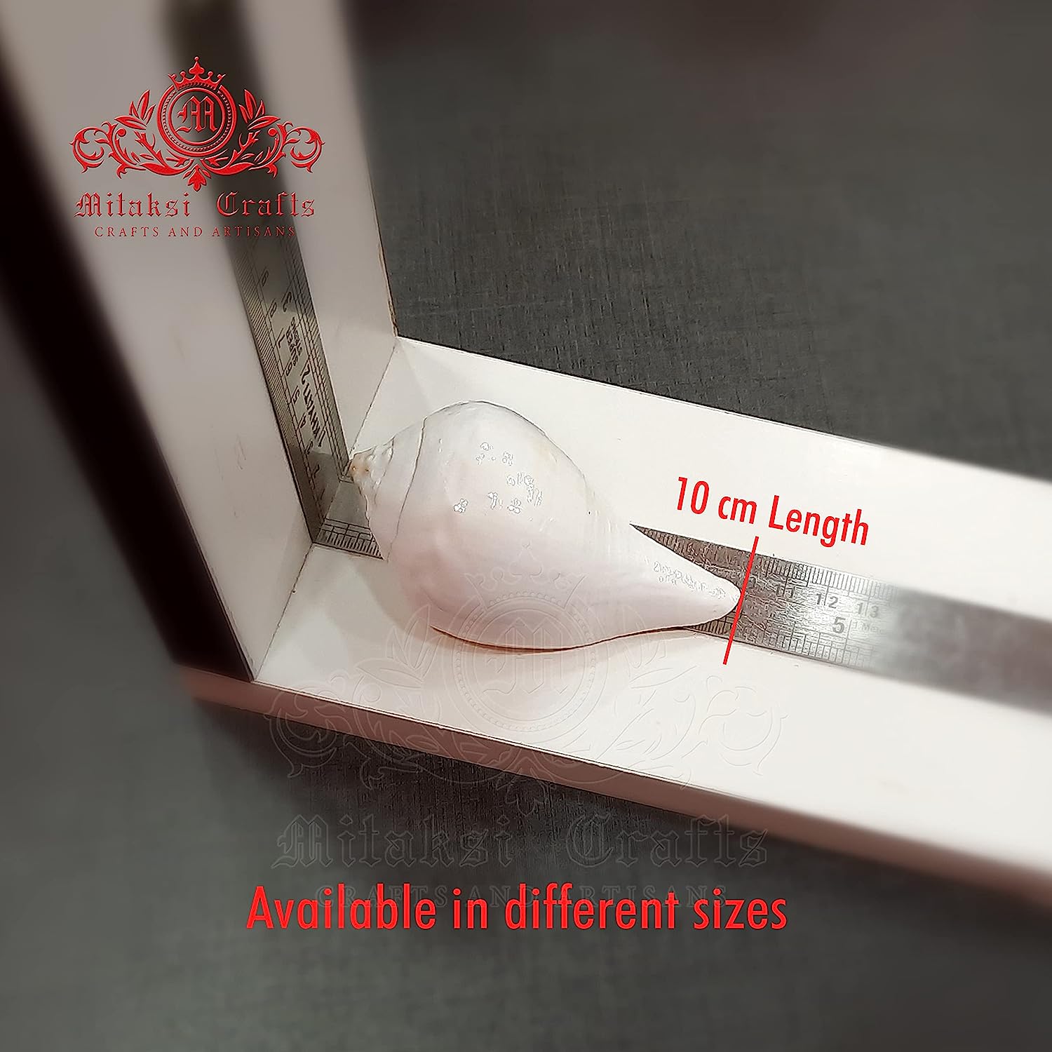 Small Vamavati Shank for Abisheka Pack of 3