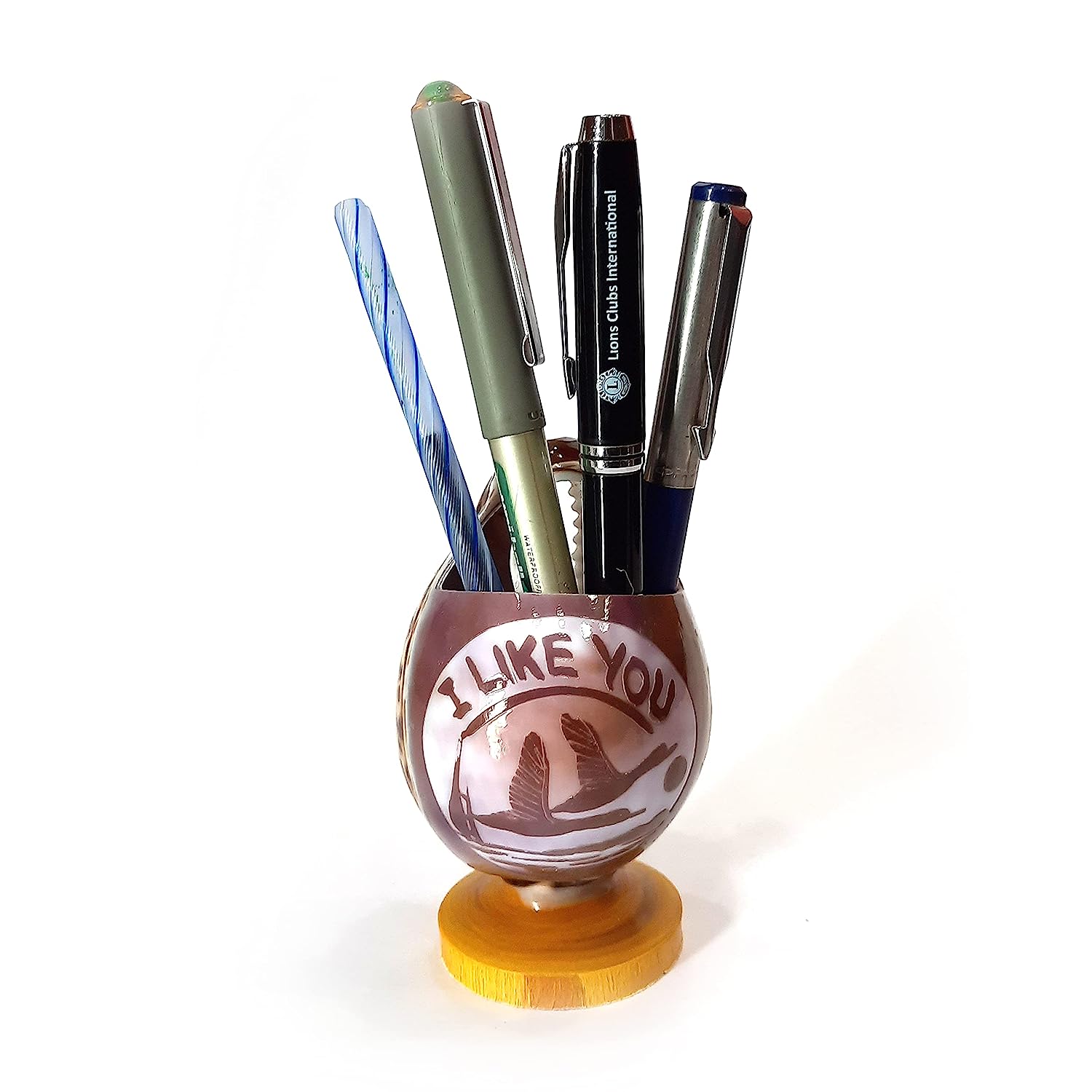 Tiger Cowrie - Cypraea Tigris Shell - Pen Stand Pack of 2