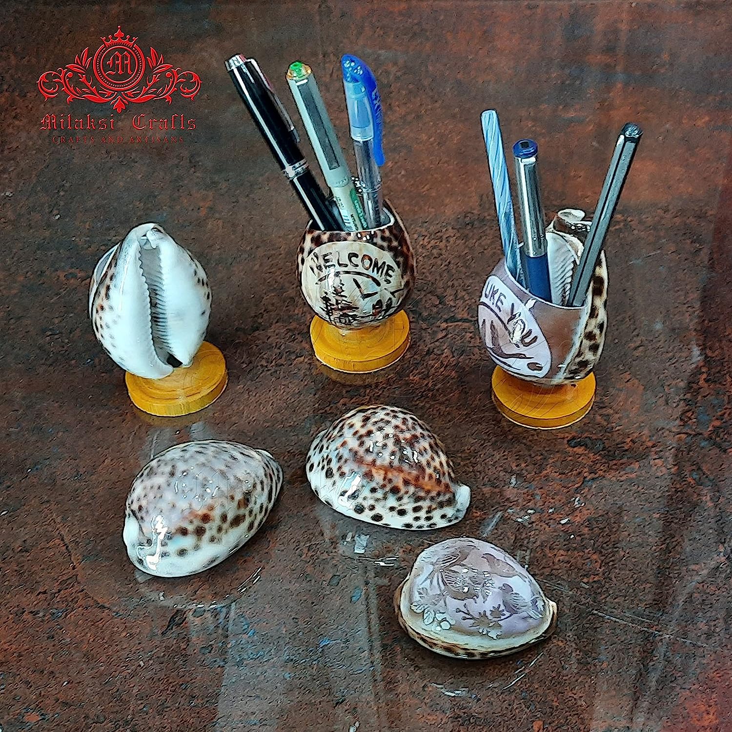Tiger Cowrie - Cypraea Tigris Shell - Pen Stand Pack of 2