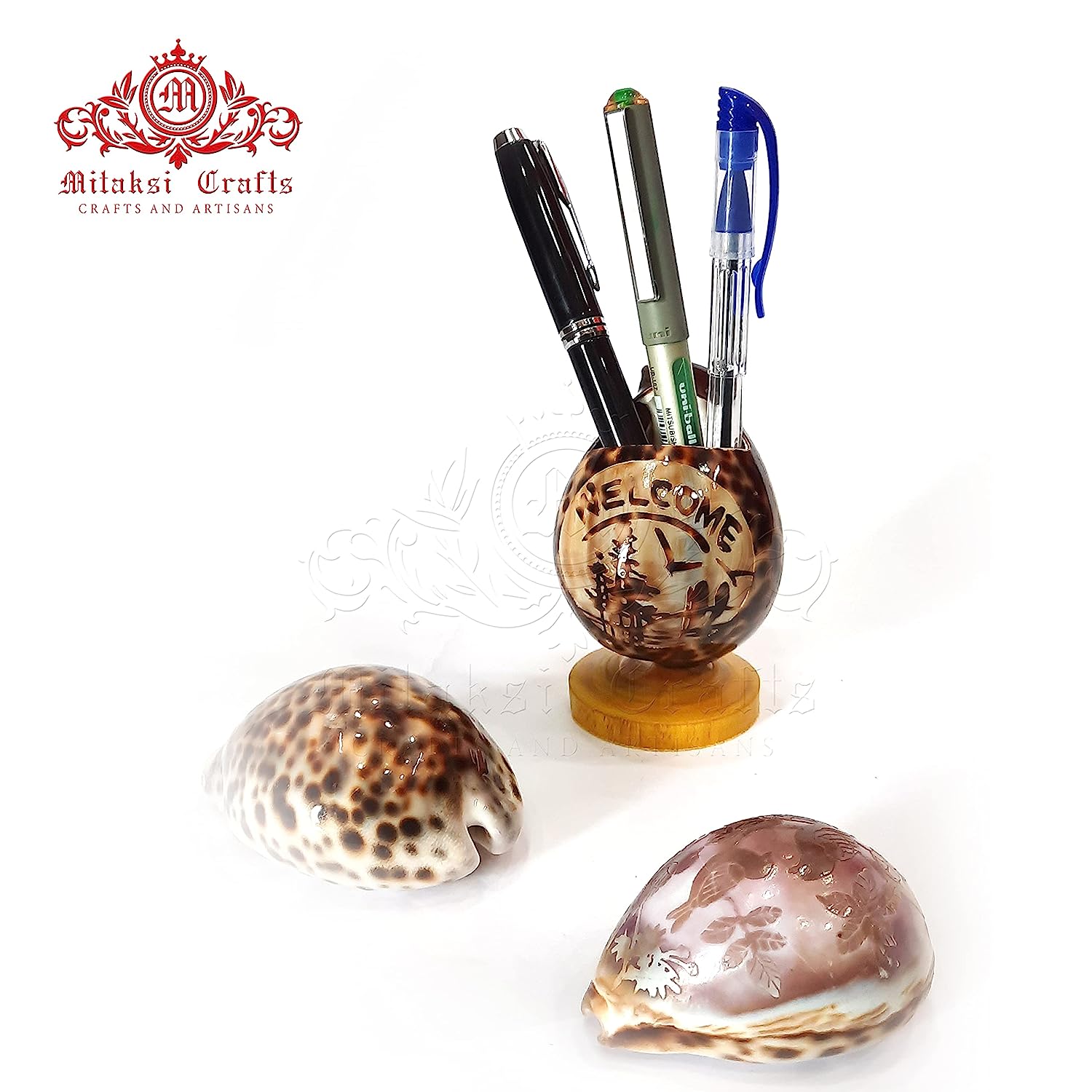 Tiger Cowrie - Cypraea Tigris Shell - Pen Stand Pack of 2