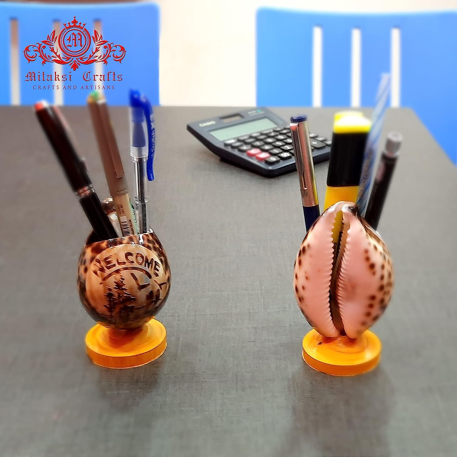 Tiger Cowrie - Cypraea Tigris Shell - Pen Stand Pack of 2