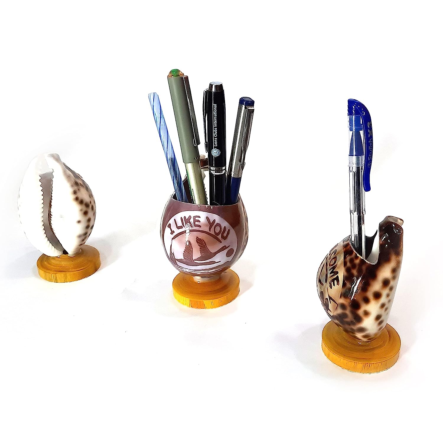 Tiger Cowrie - Cypraea Tigris Shell - Pen Stand Pack of 2