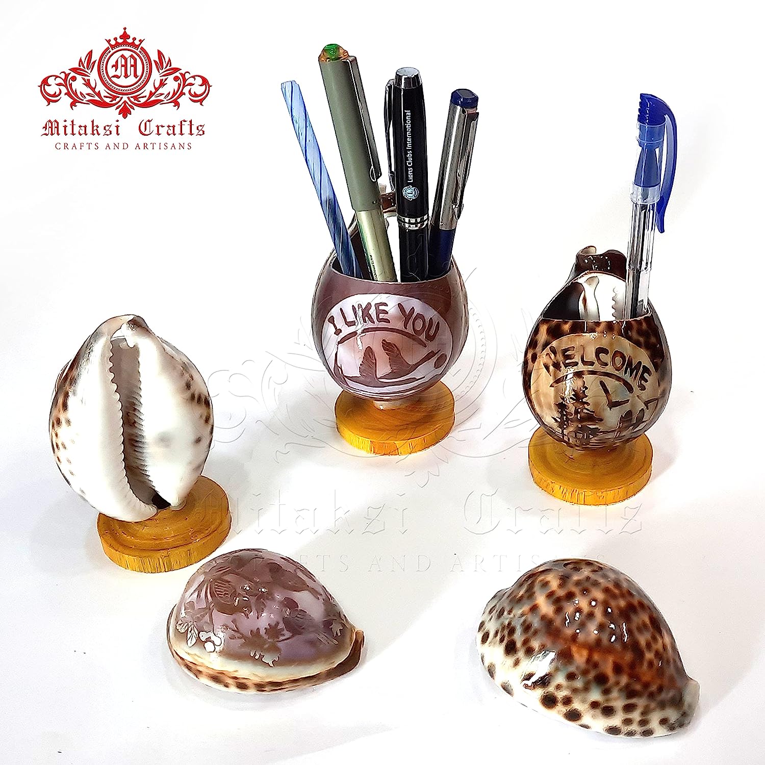 Tiger Cowrie - Cypraea Tigris Shell - Pen Stand Pack of 2