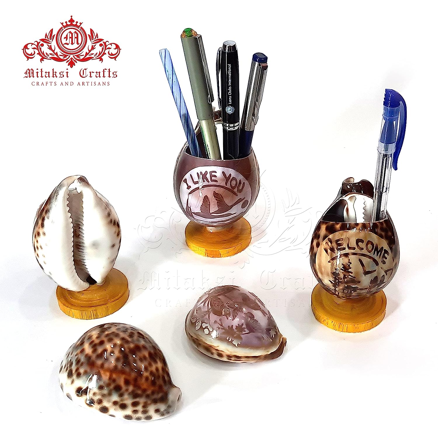 Tiger Cowrie - Cypraea Tigris Shell - Pen Stand Pack of 2