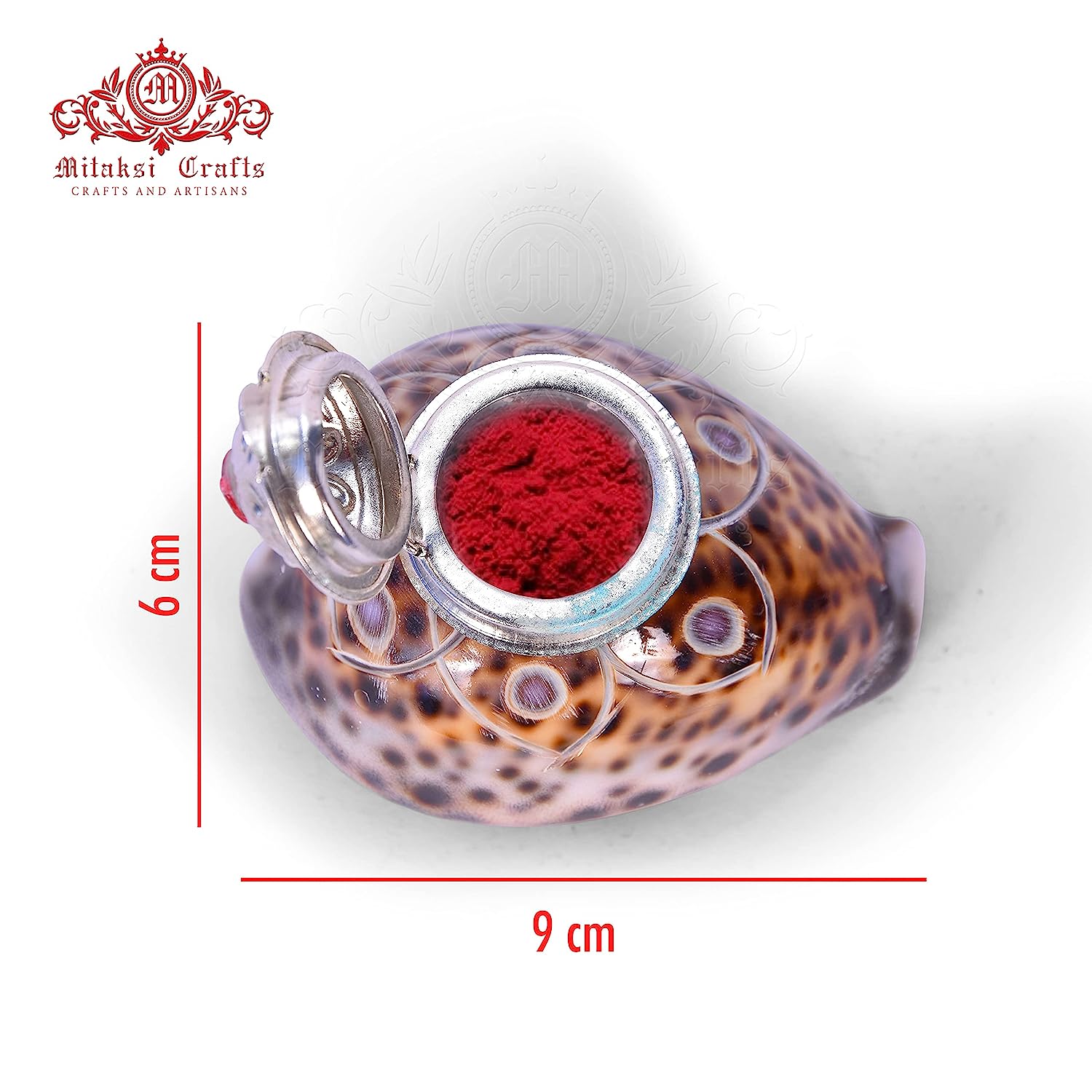 Tiger Cowrie - Cypraea Tigris Shell - Sindoor Box Pack of 2