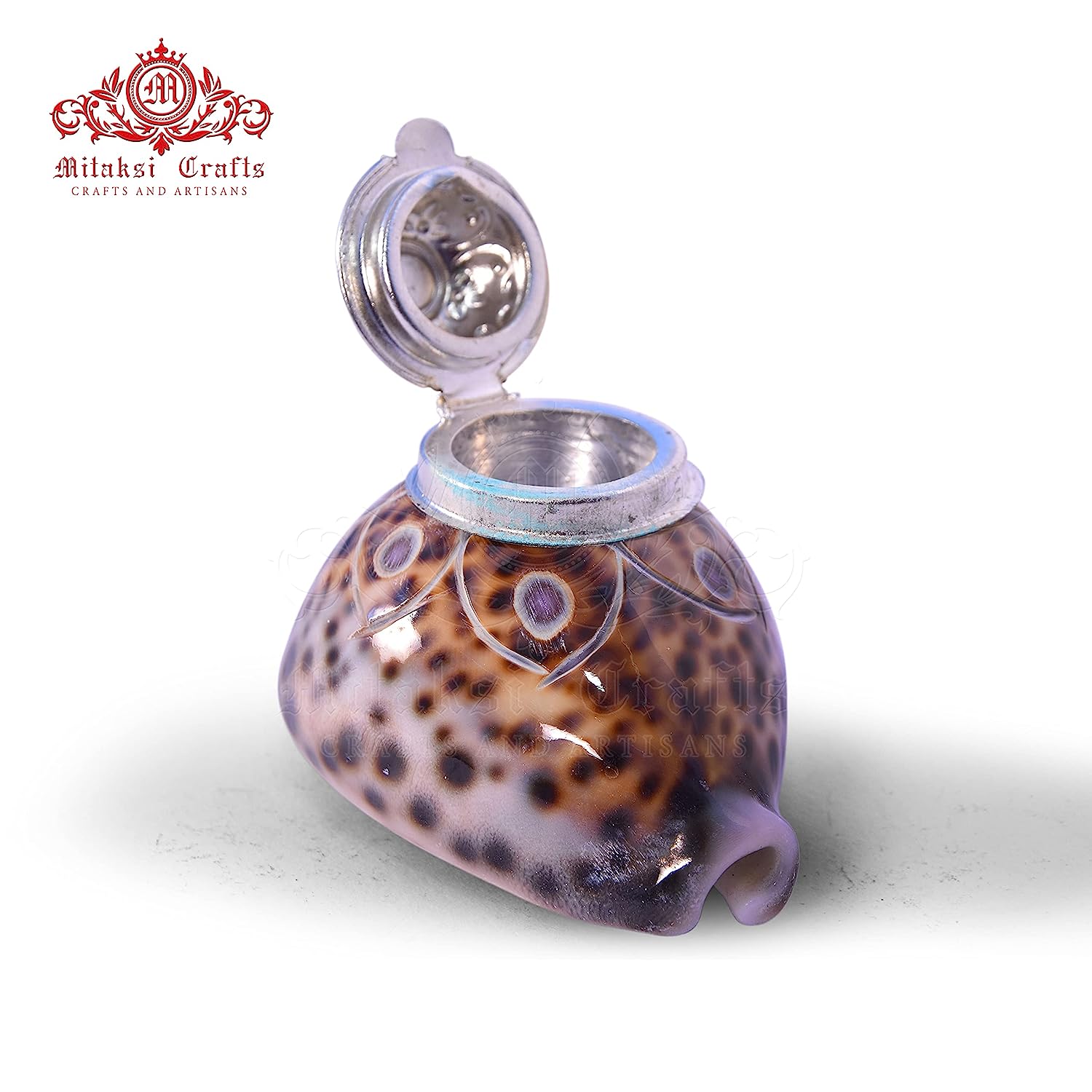 Tiger Cowrie - Cypraea Tigris Shell - Sindoor Box Pack of 2