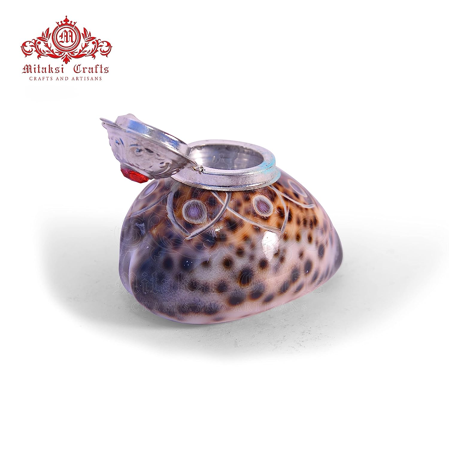 Tiger Cowrie - Cypraea Tigris Shell - Sindoor Box Pack of 2