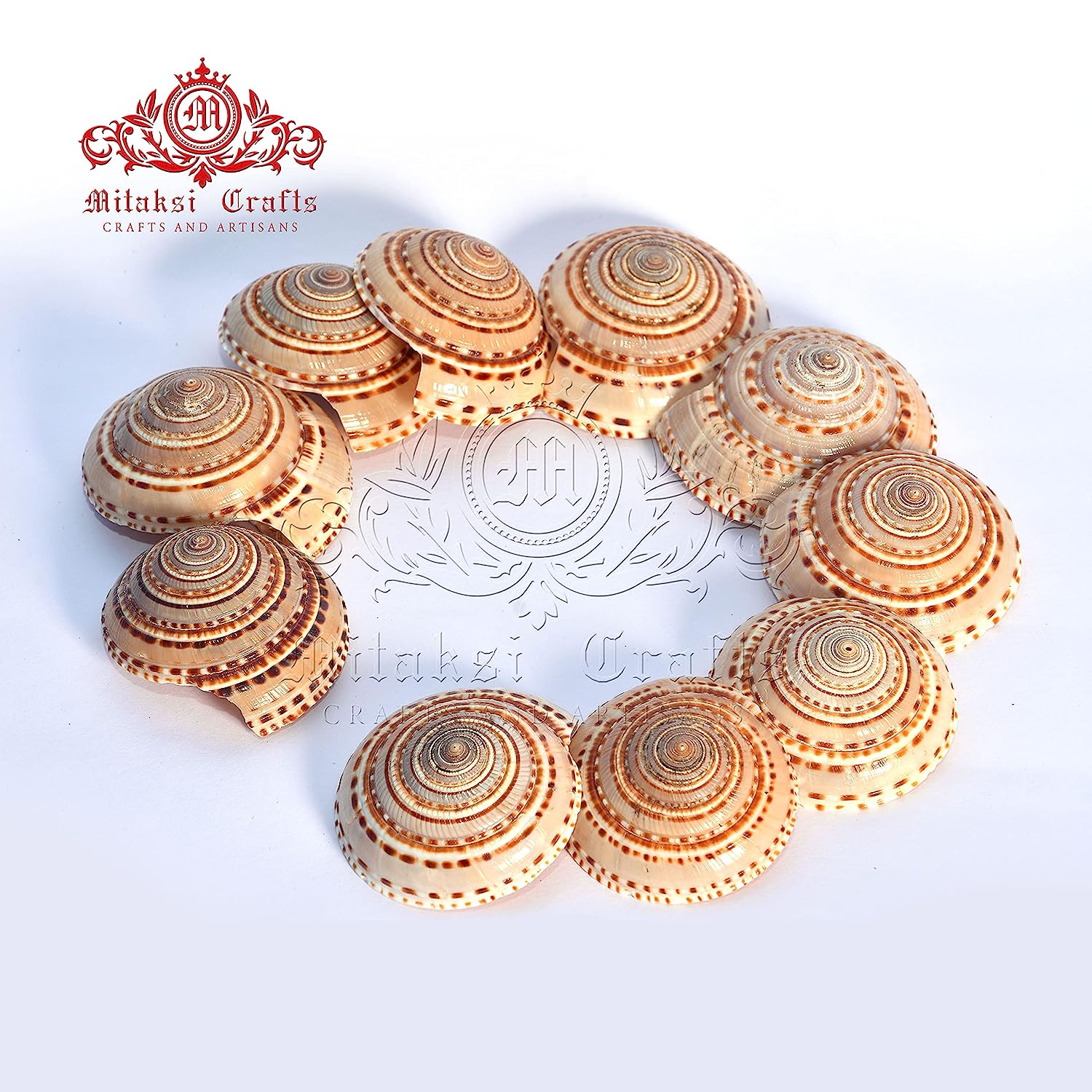 Vishnu Sutharshan Chakra Pack of 5