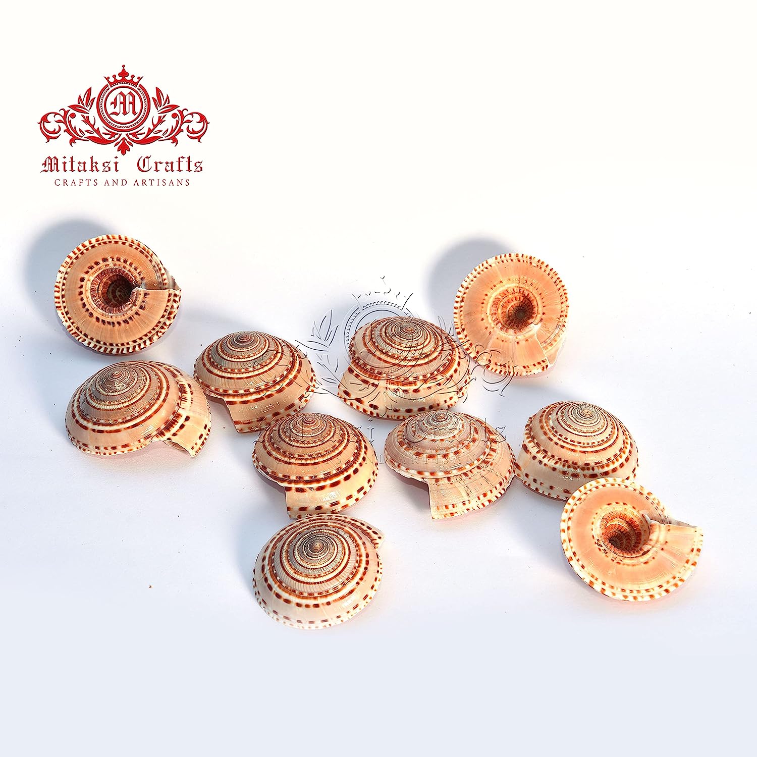 Vishnu Sutharshan Chakra Pack of 5