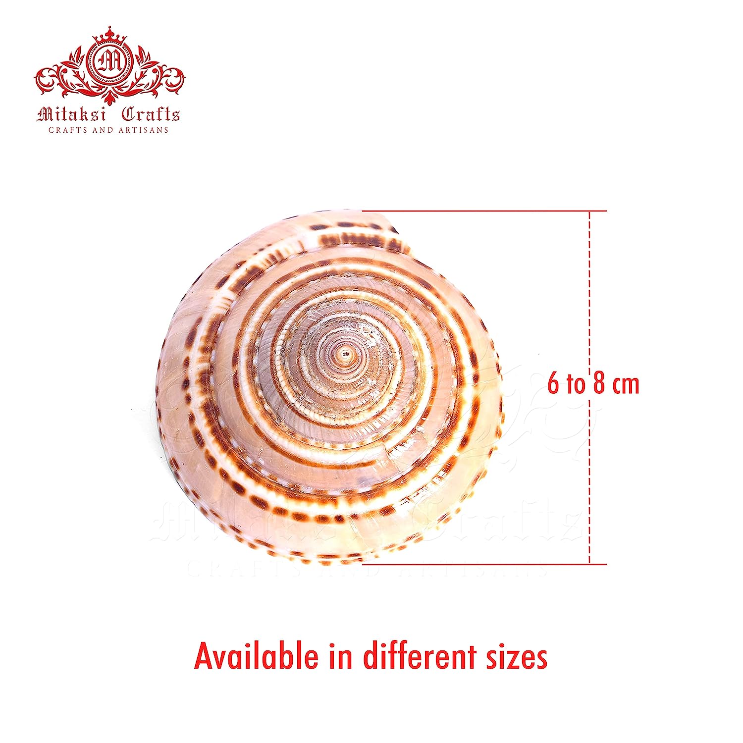 Vishnu Sutharshan Chakra Pack of 5