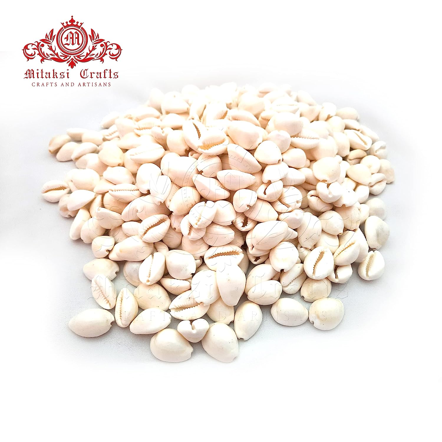 White Cowrie / Kaudi Shells Size – 3 Cms - Pack of 100